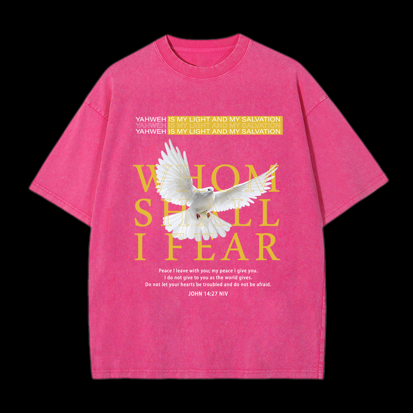 Whom Shall I Fear Washed T-Shirt