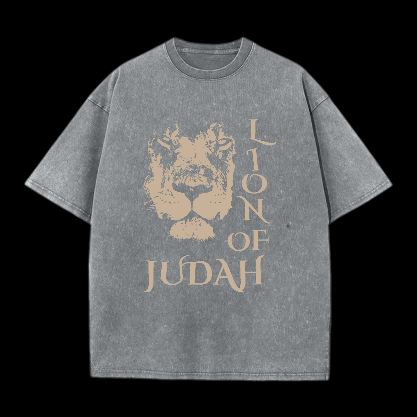 Lion Of Judan Washed T-Shirt