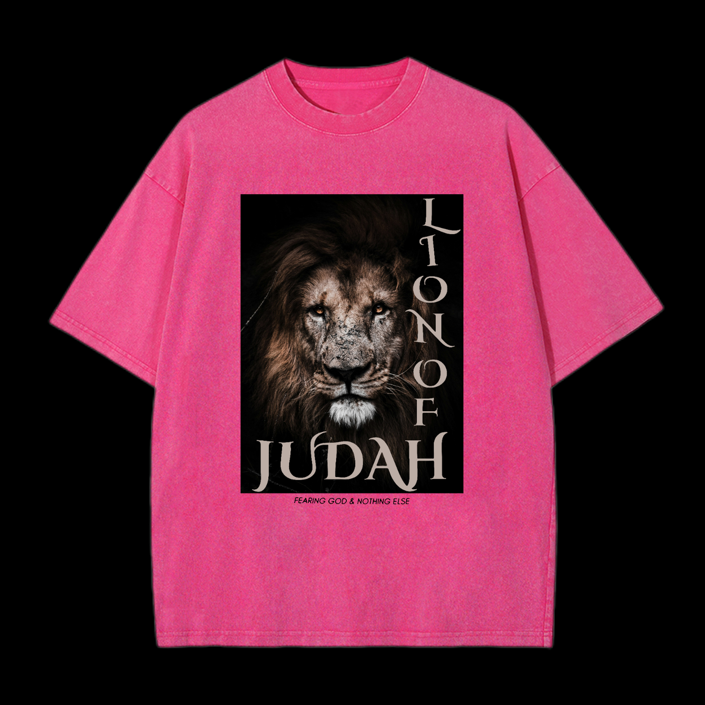 Lion Of Judan Washed T-Shirt