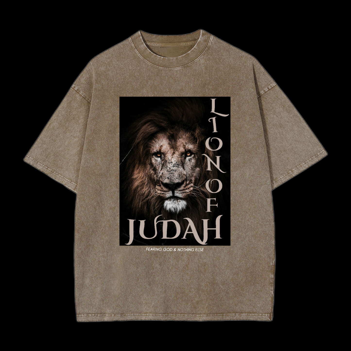 Lion Of Judan Washed T-Shirt