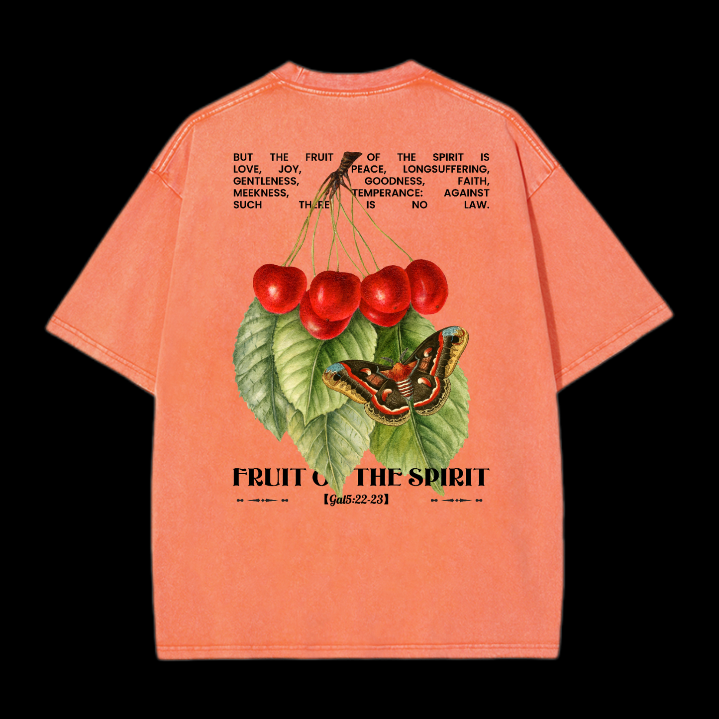 Fruit Of The Spirit Washed T-Shirt