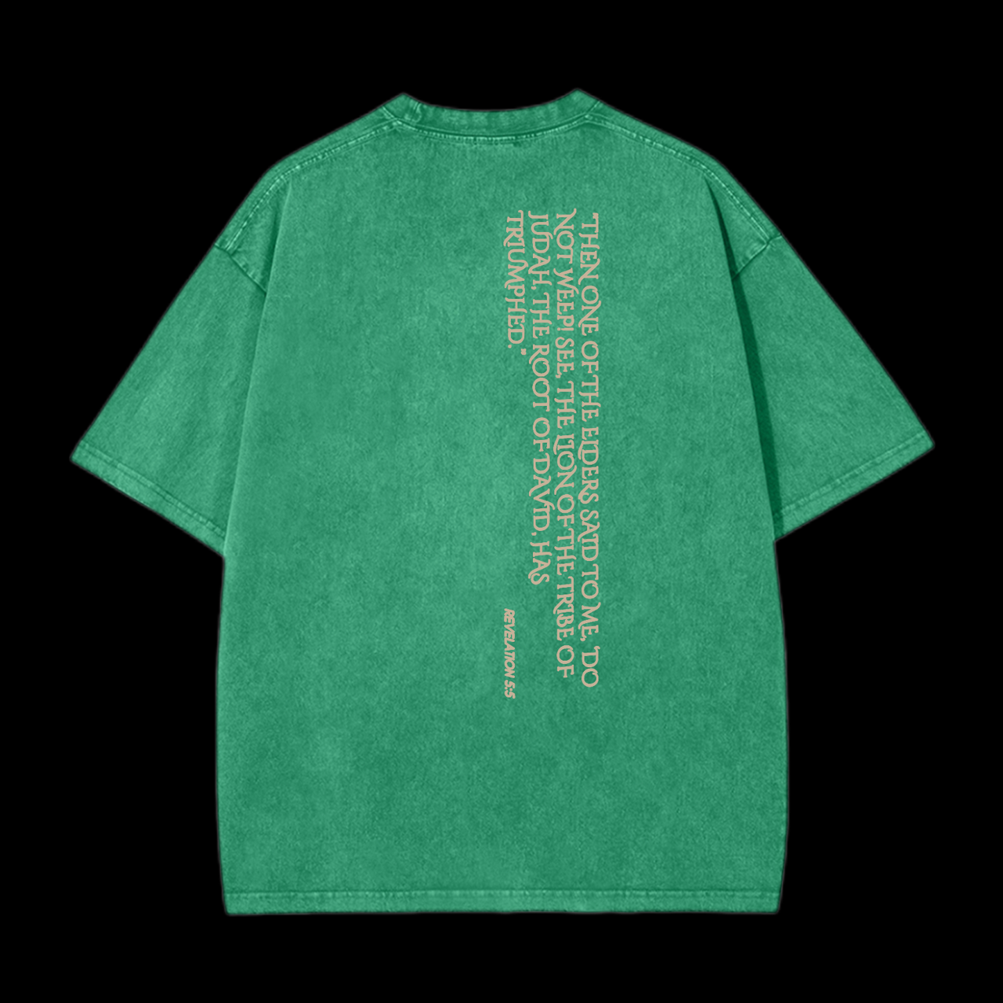 Lion Of Judan Washed T-Shirt