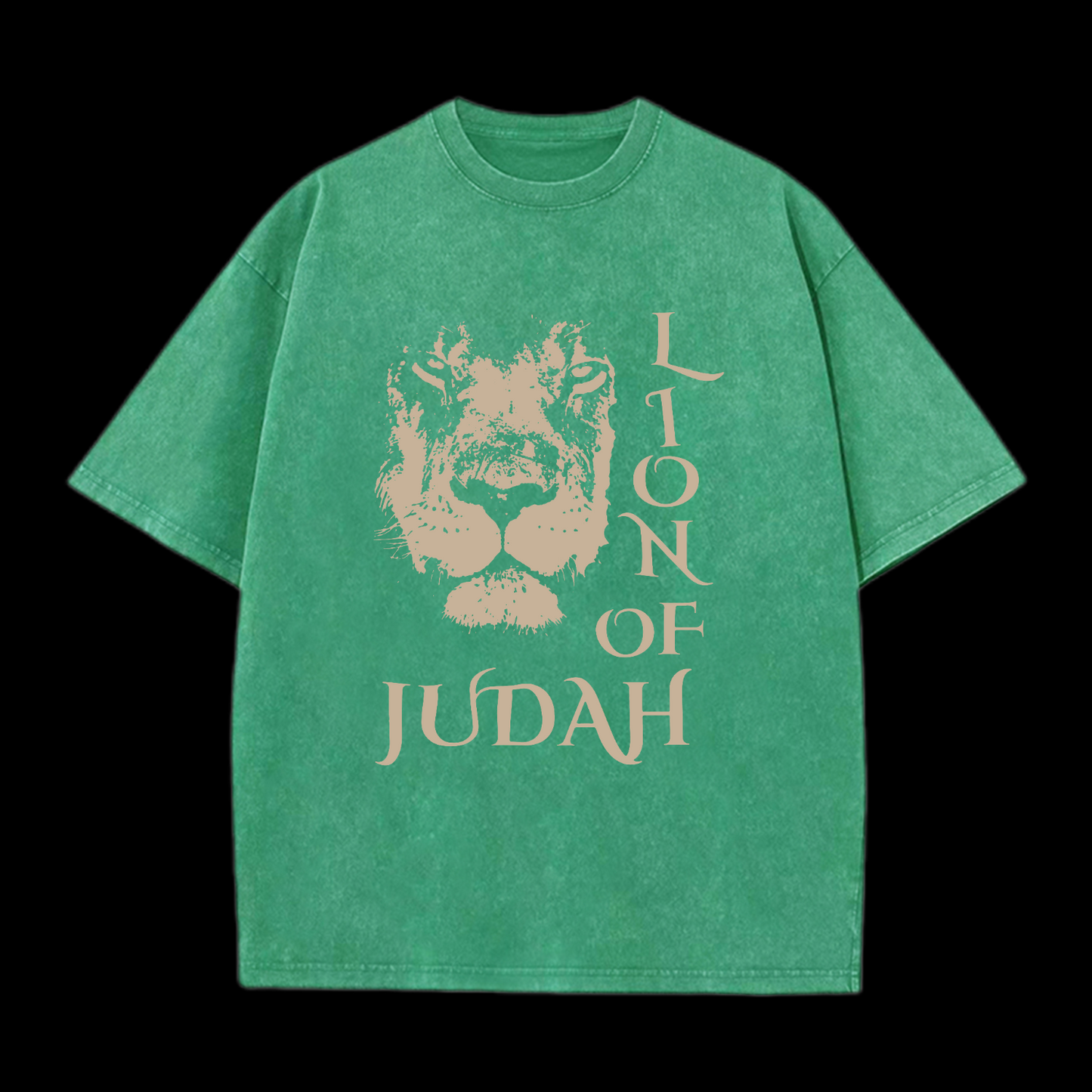 Lion Of Judan Washed T-Shirt