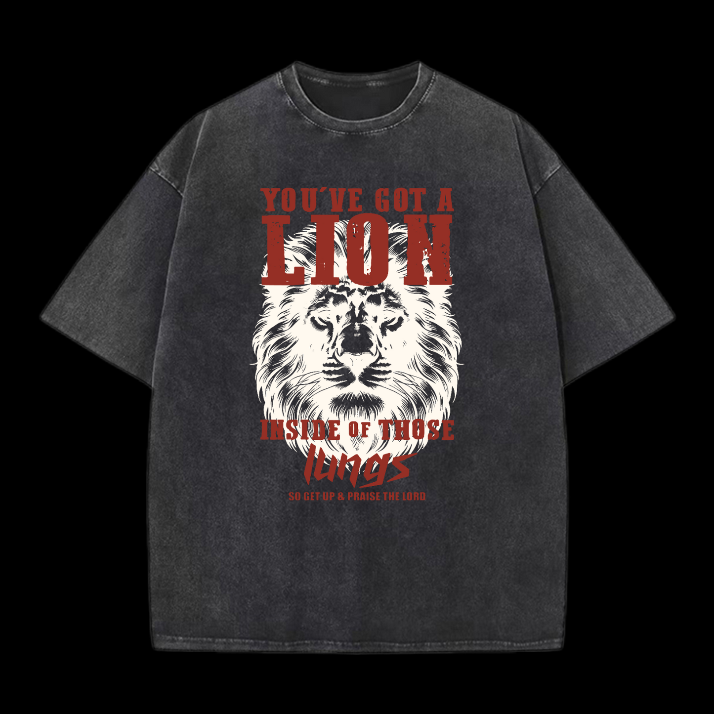 You've Got A Lion Washed T-Shirt