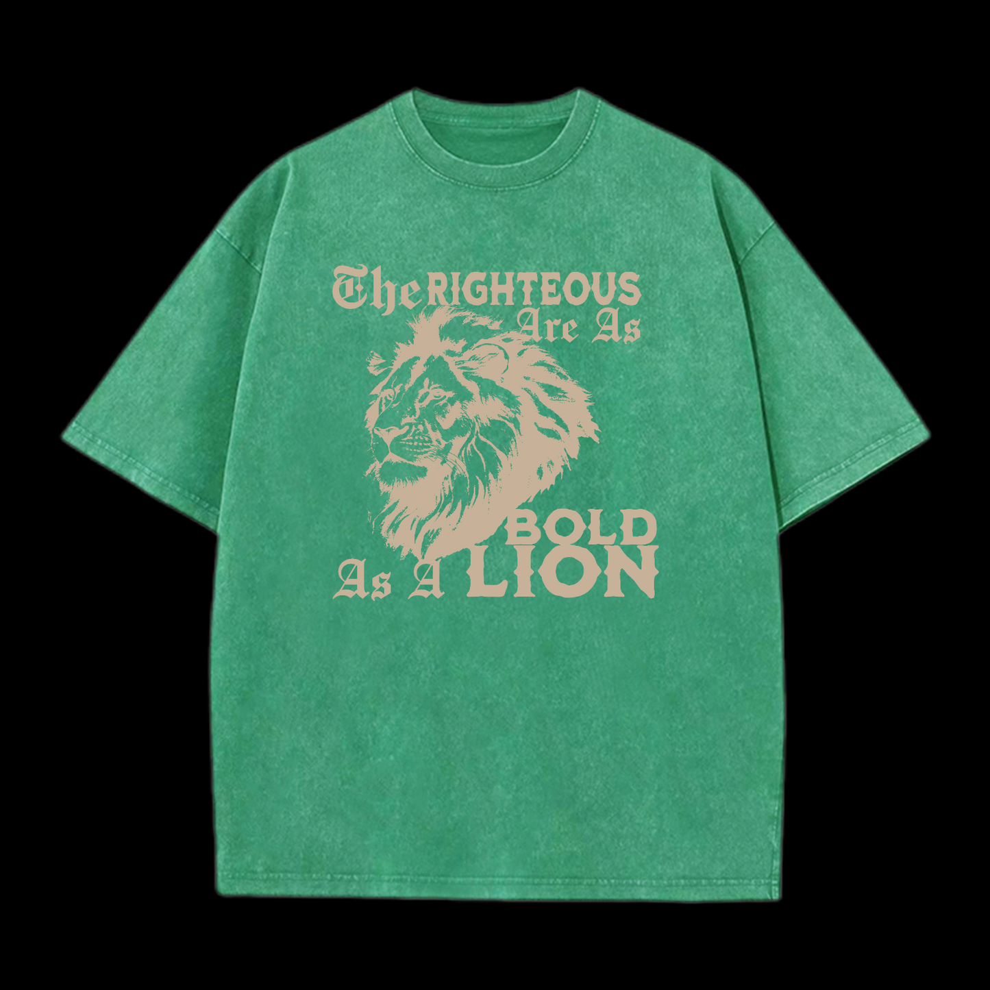 The Righteous Are As Bold As A Lion Washed T-Shirt