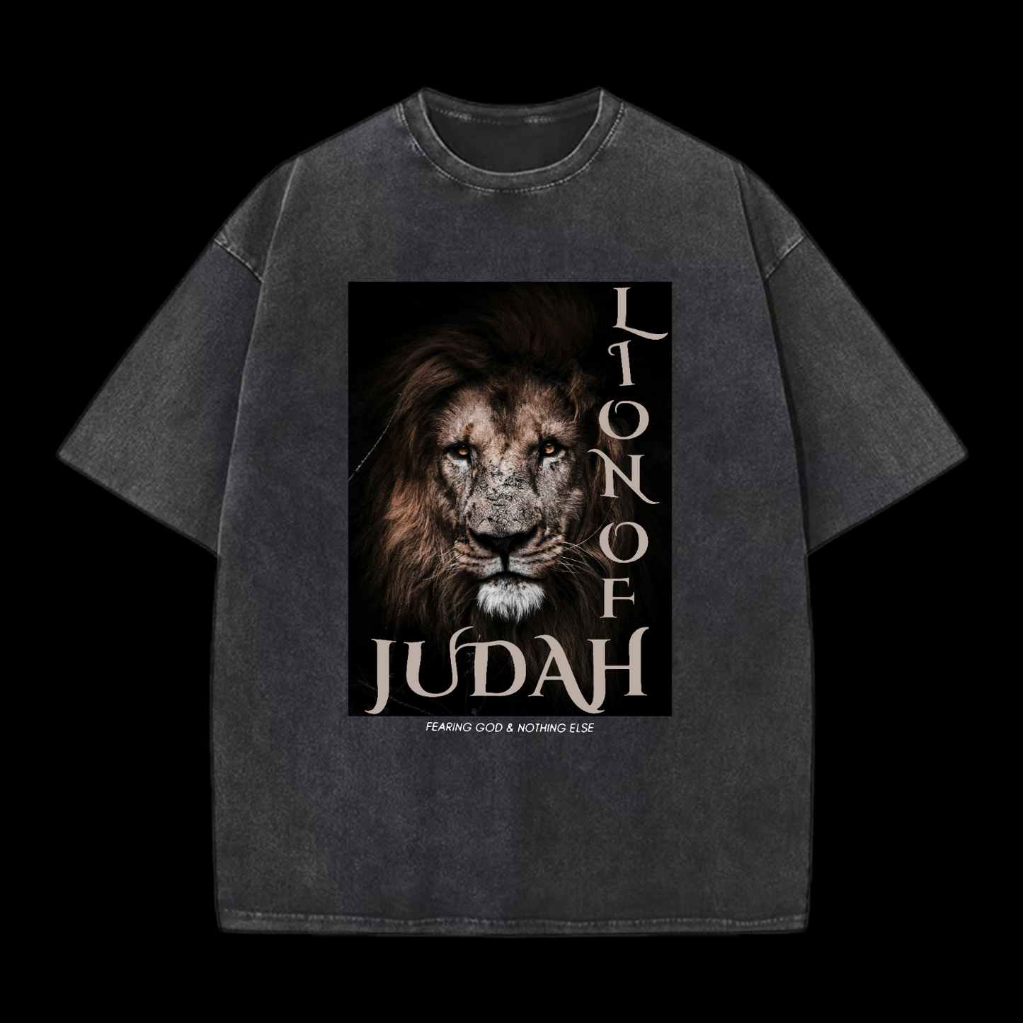 Lion Of Judan Washed T-Shirt