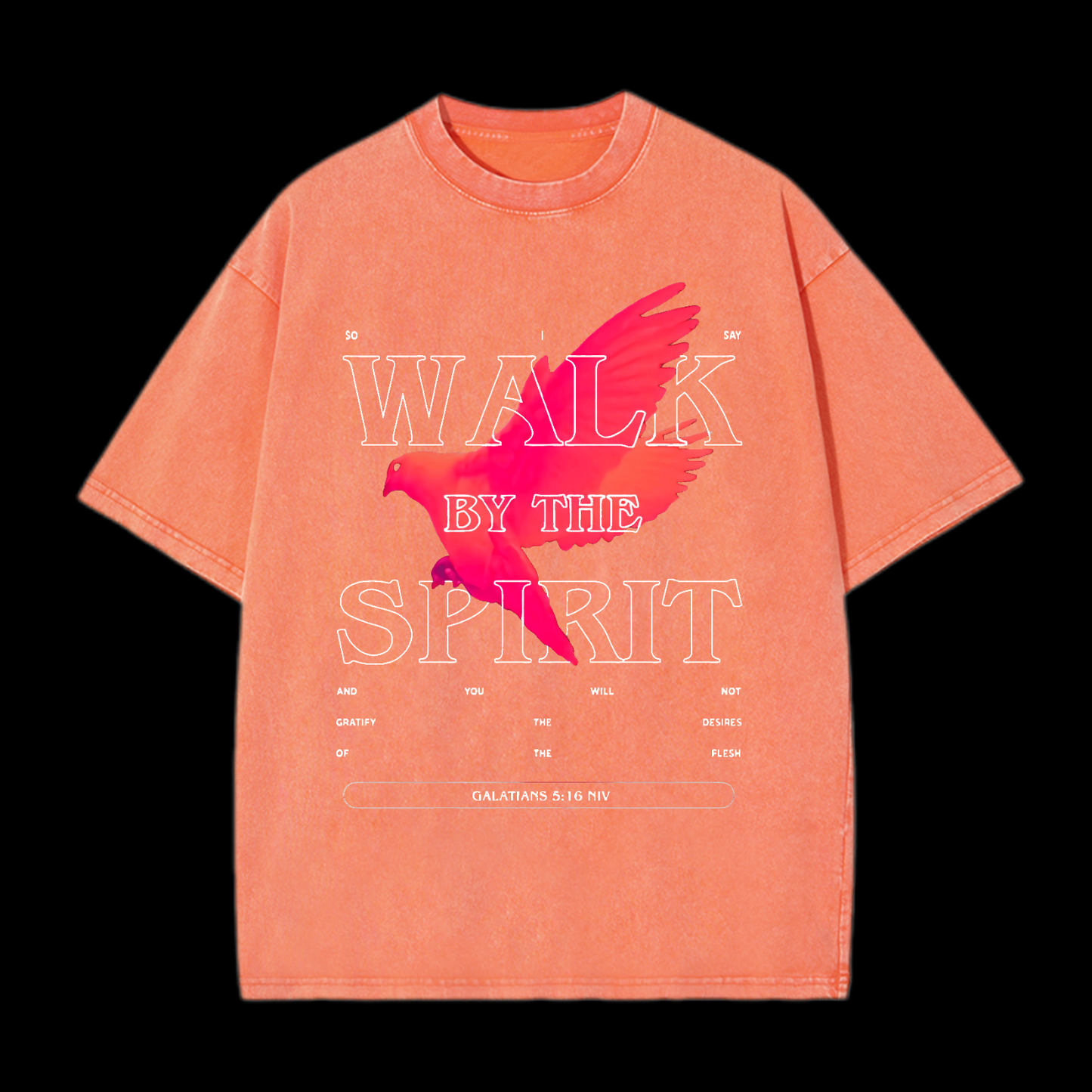 Walk By The Spirit Washed T-Shirt