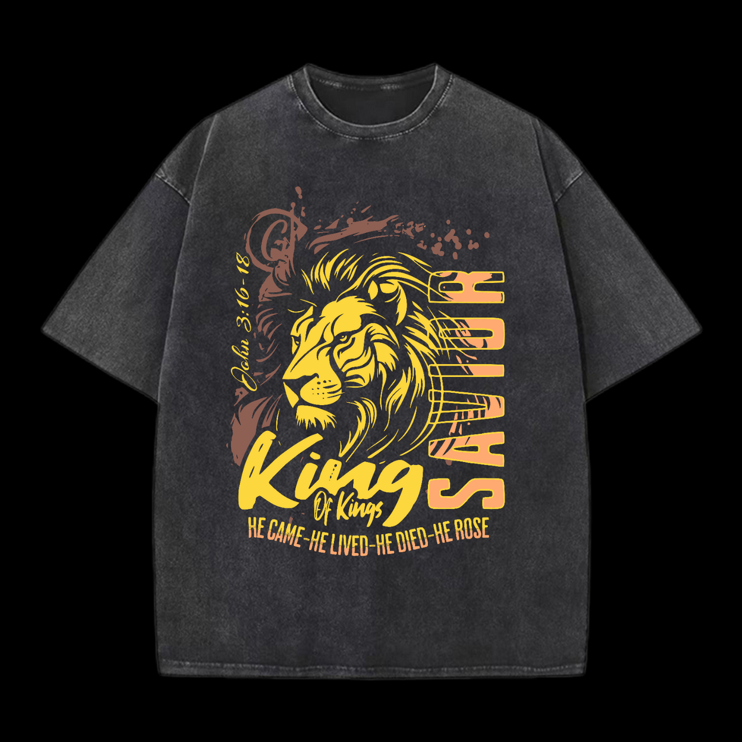 He Came He Lived Washed T-Shirt