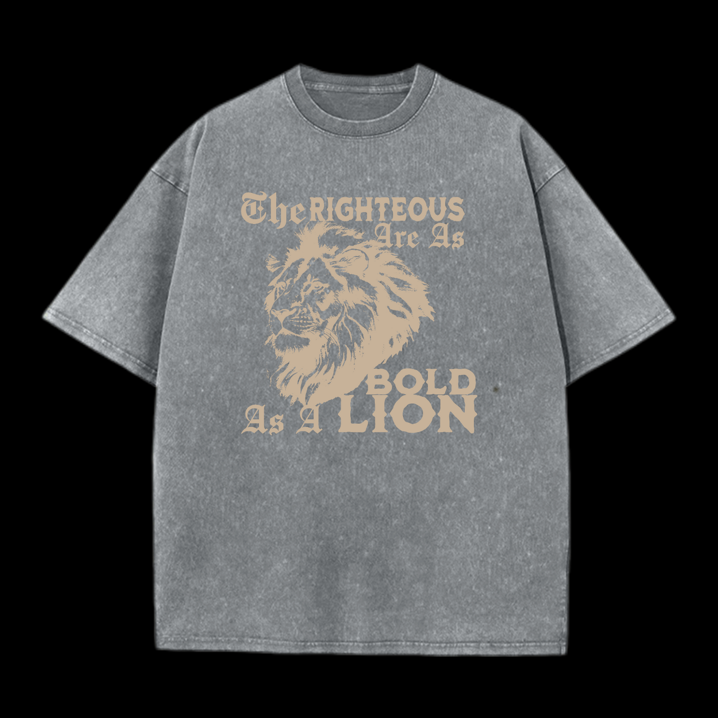 The Righteous Are As Bold As A Lion Washed T-Shirt