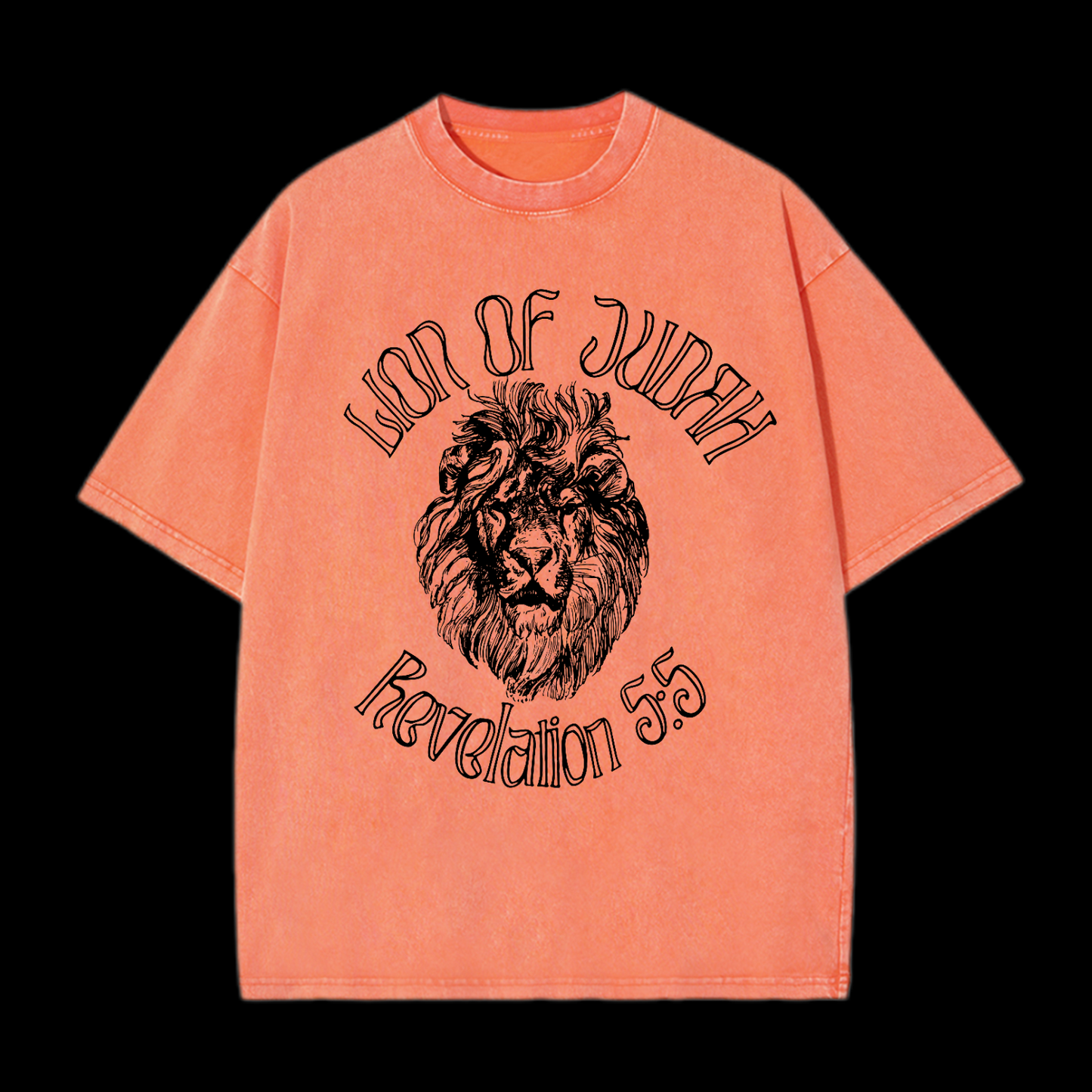 Lion Of Judah Washed T-Shirt