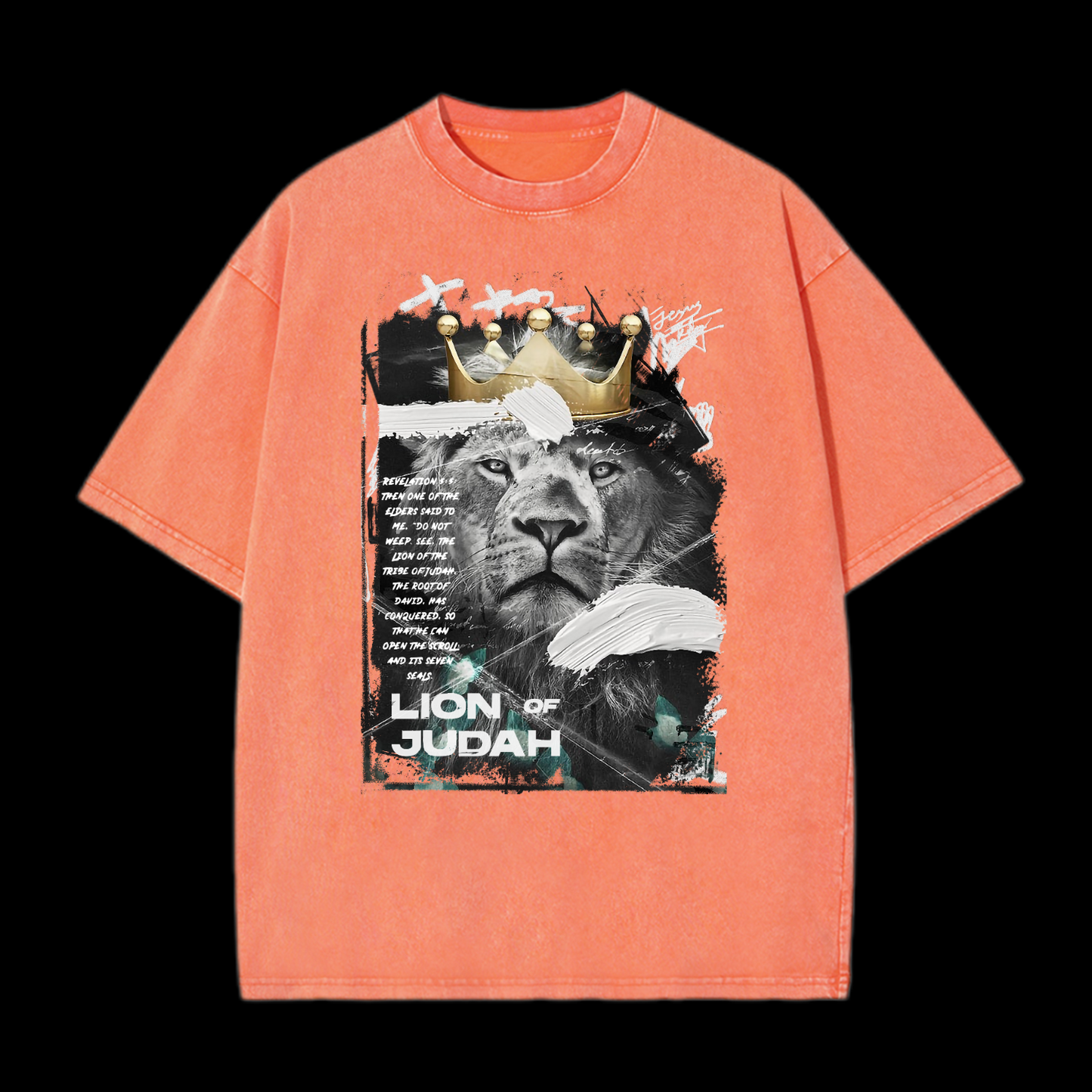 Lion Of Judan Washed T-Shirt