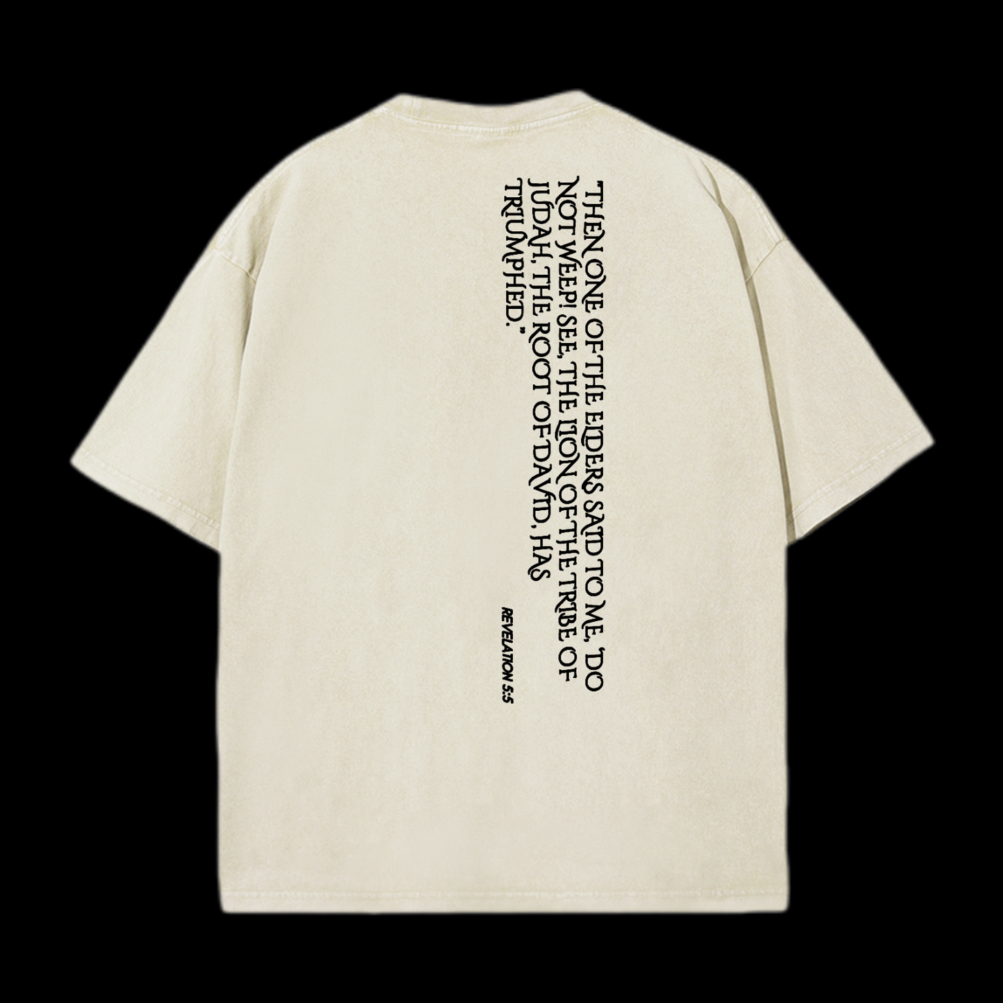Lion Of Judan Washed T-Shirt
