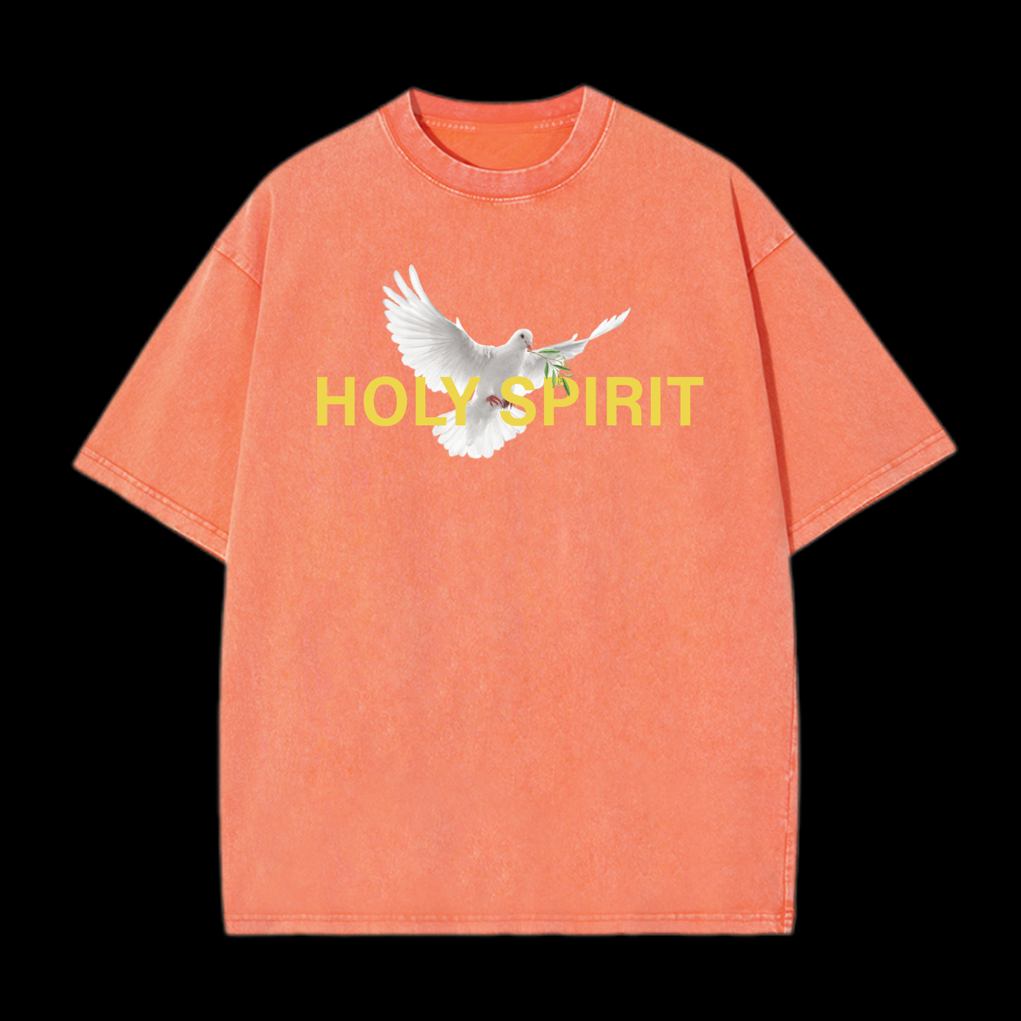 Holy Spirit Washed T-Shirt