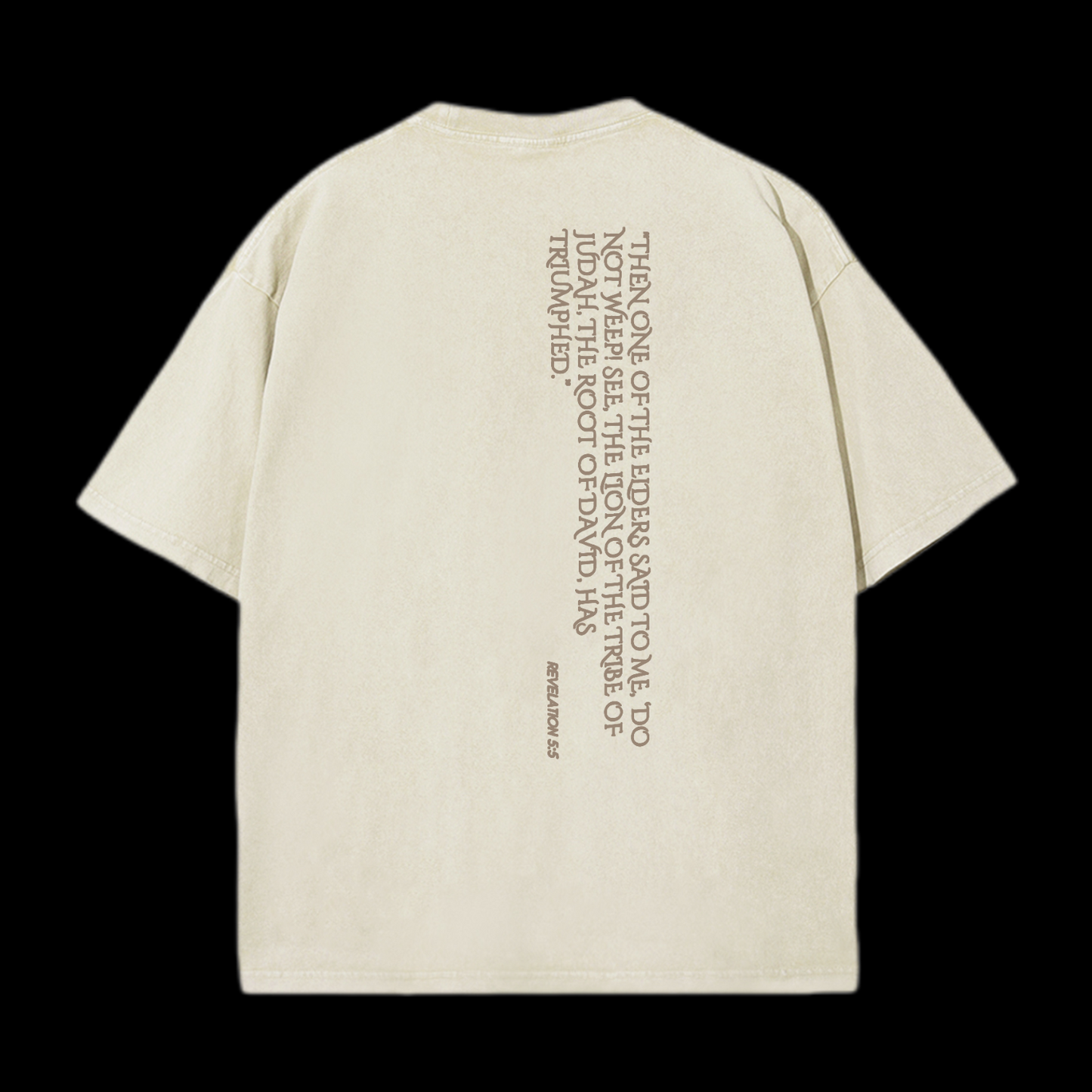 Lion Of Judan Washed T-Shirt
