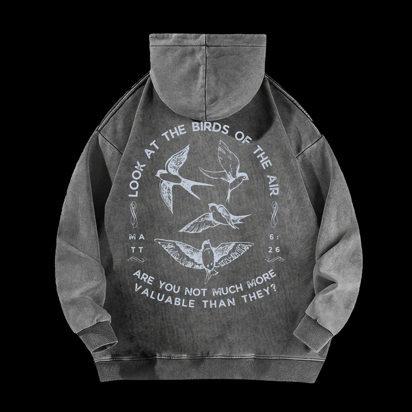 Look At The Birds Of The Air Washed Hoodie