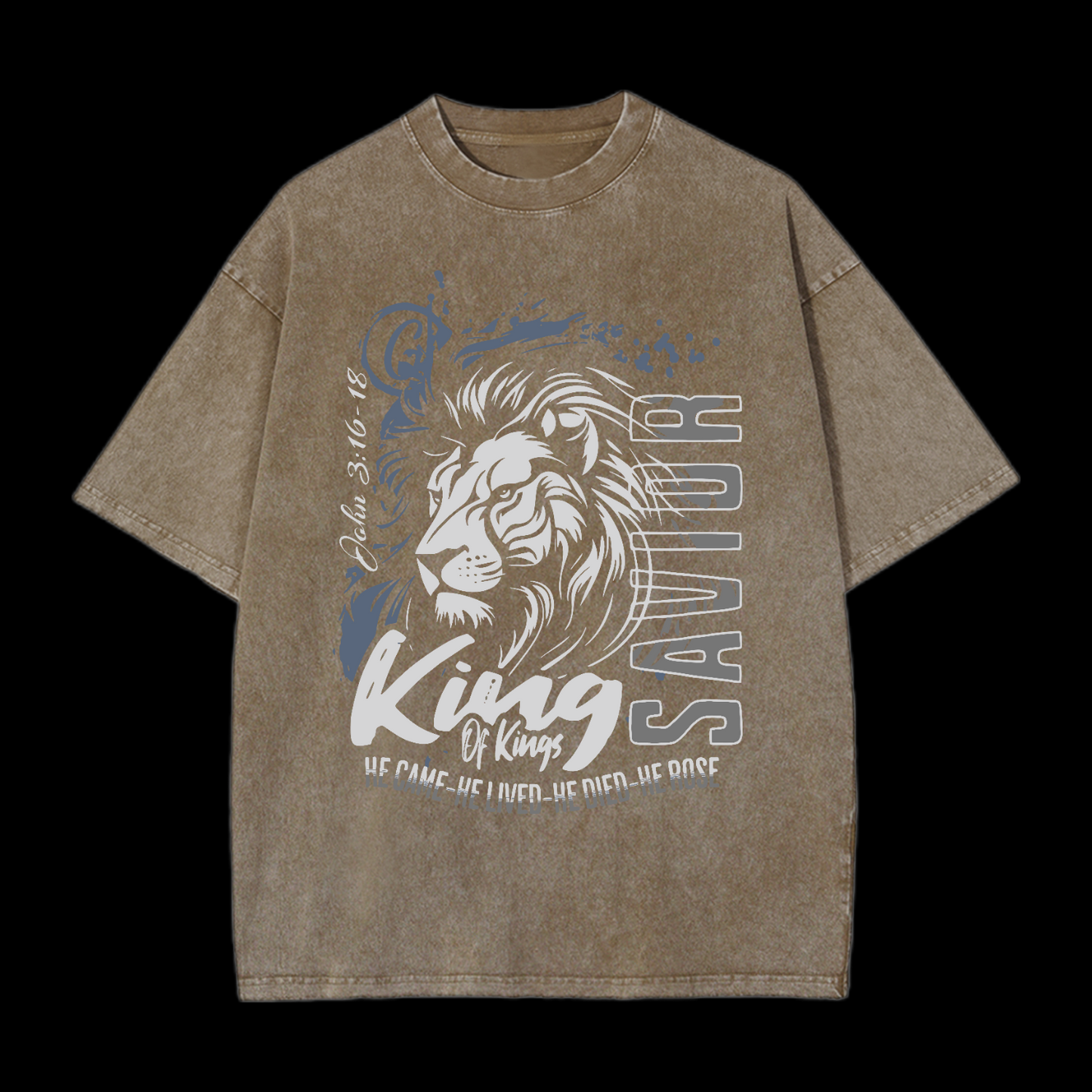 He Came He Lived Washed T-Shirt