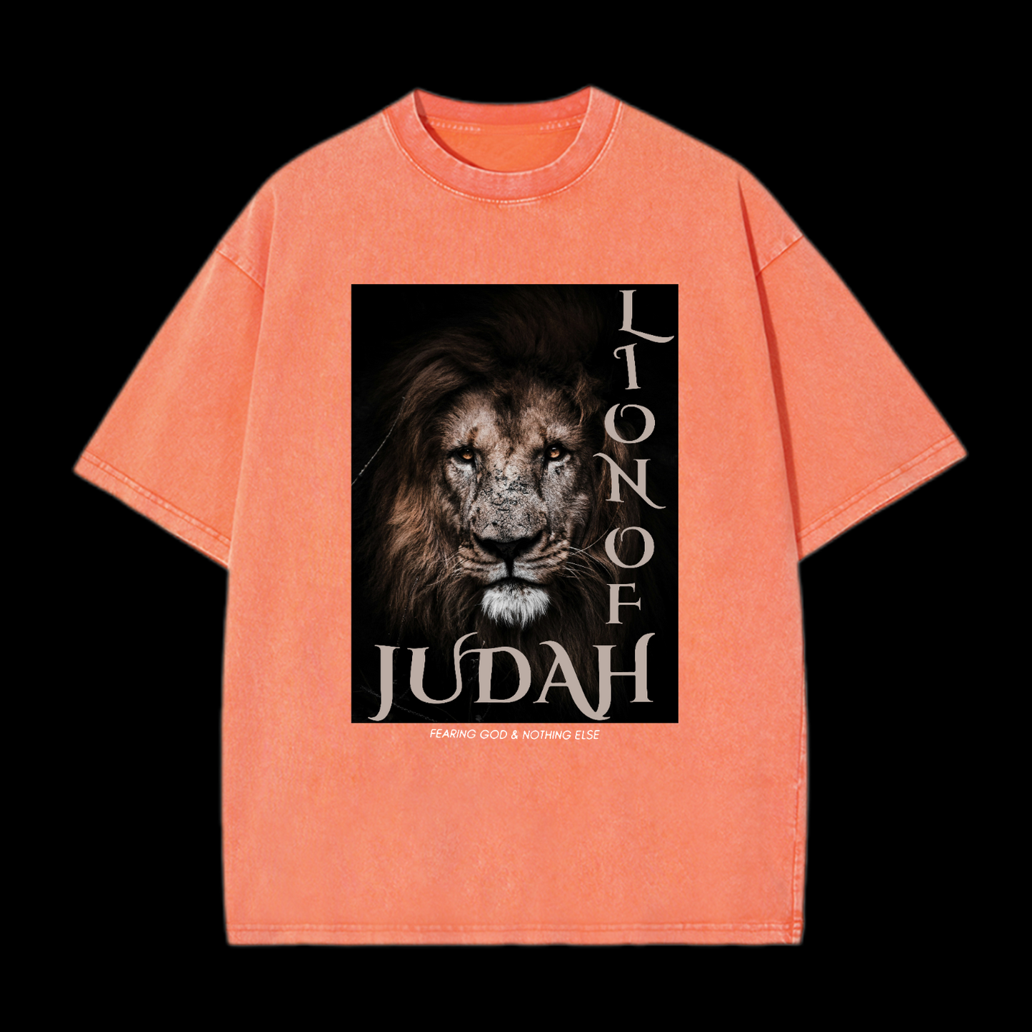 Lion Of Judan Washed T-Shirt