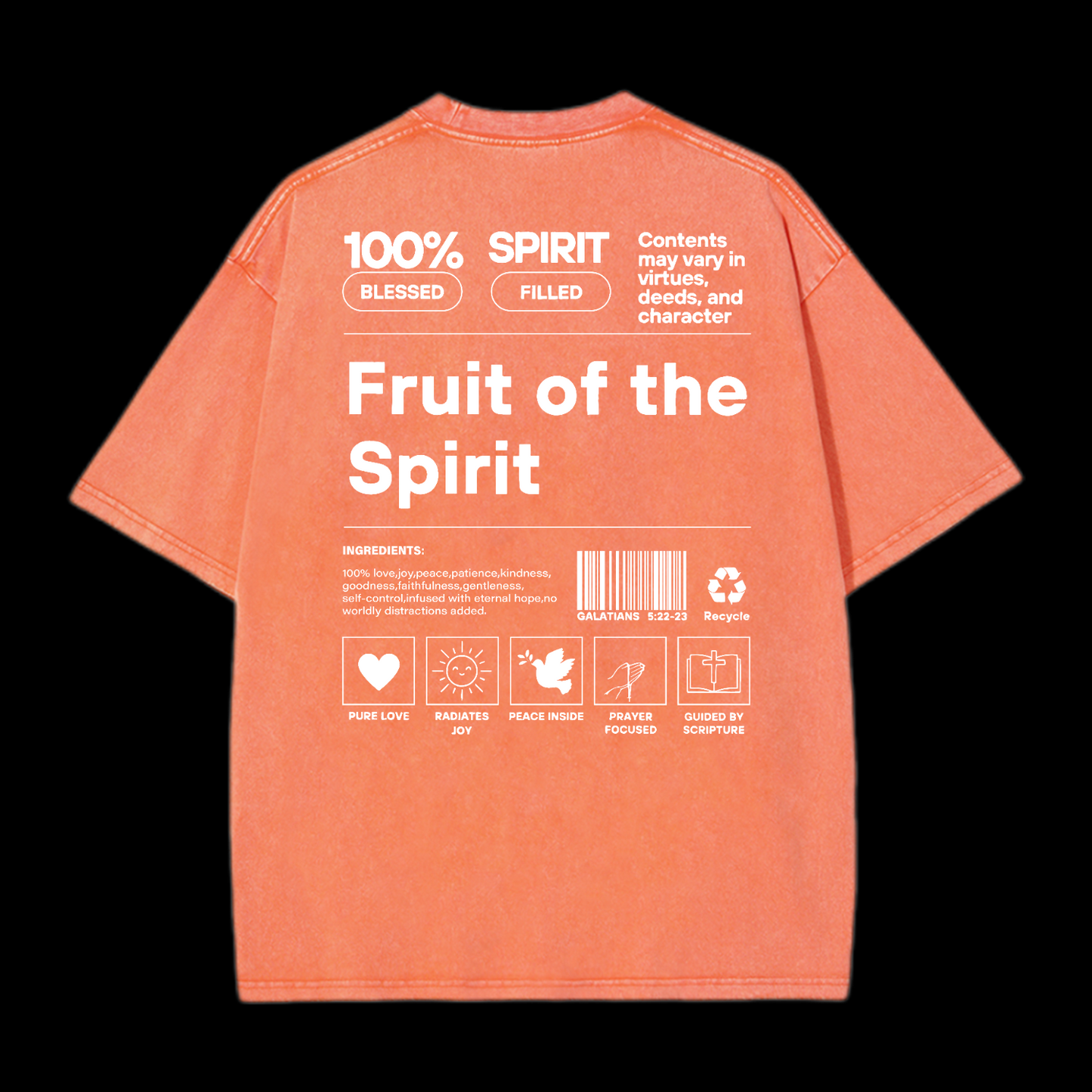 Fruit Of The Spirit Washed T-Shirt