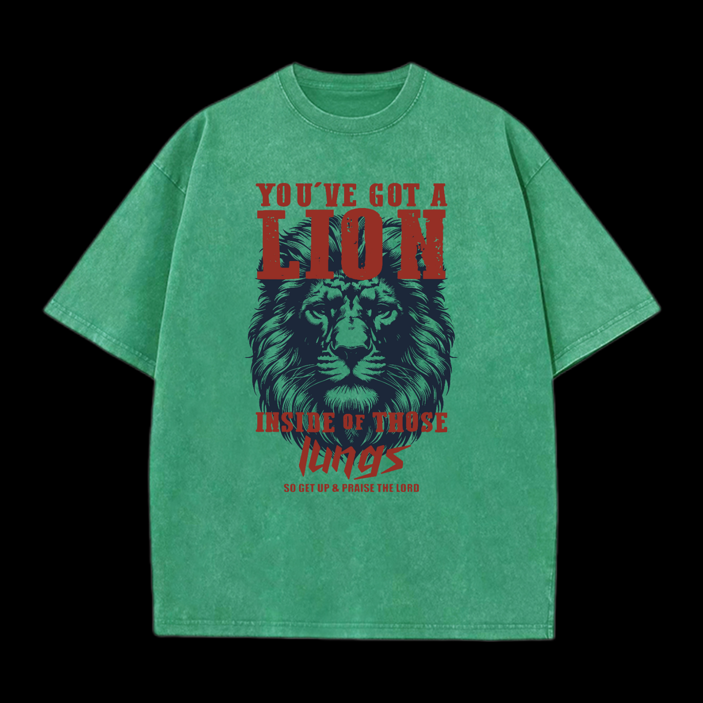 You've Got A Lion Washed T-Shirt