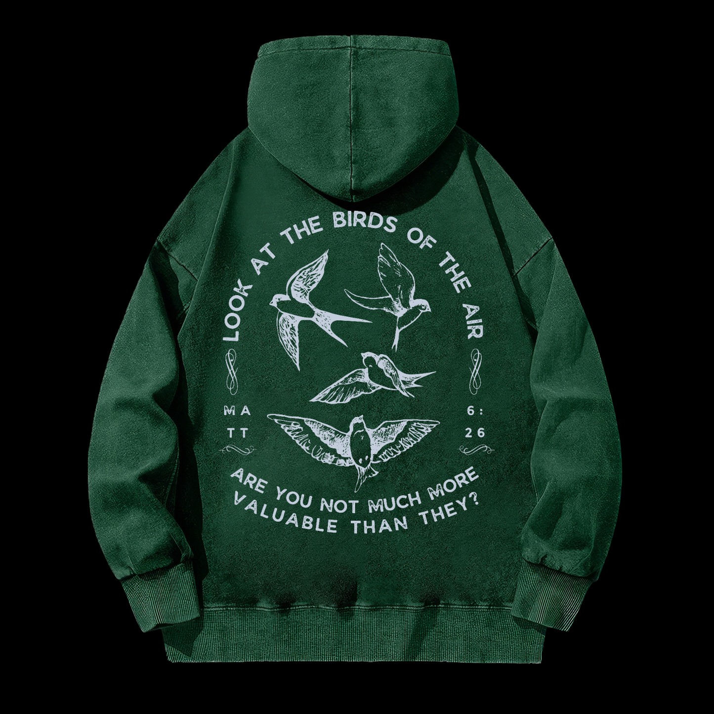 Look At The Birds Of The Air Washed Hoodie