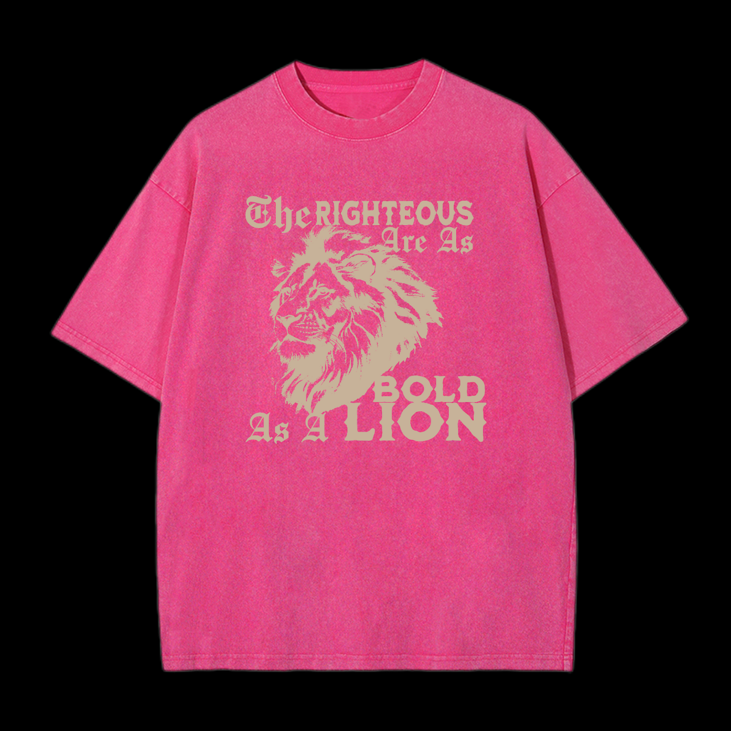The Righteous Are As Bold As A Lion Washed T-Shirt