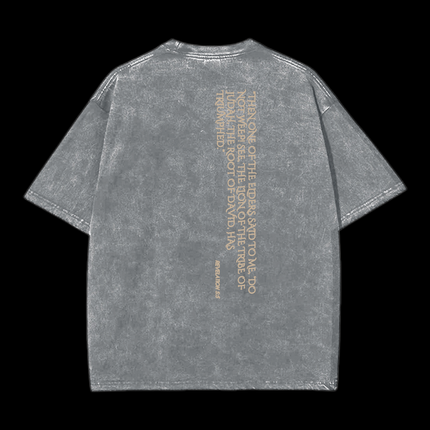 Lion Of Judan Washed T-Shirt