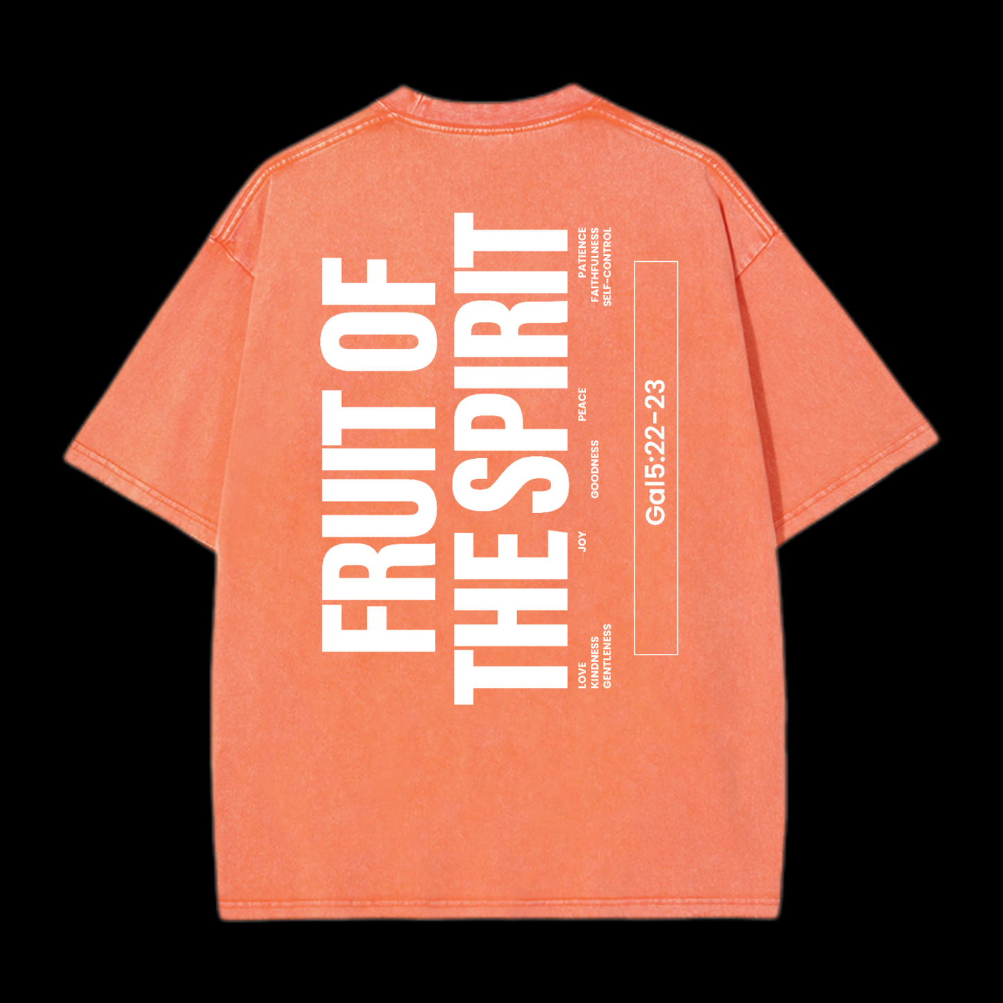Fruit Of The Spirit Washed T-Shirt