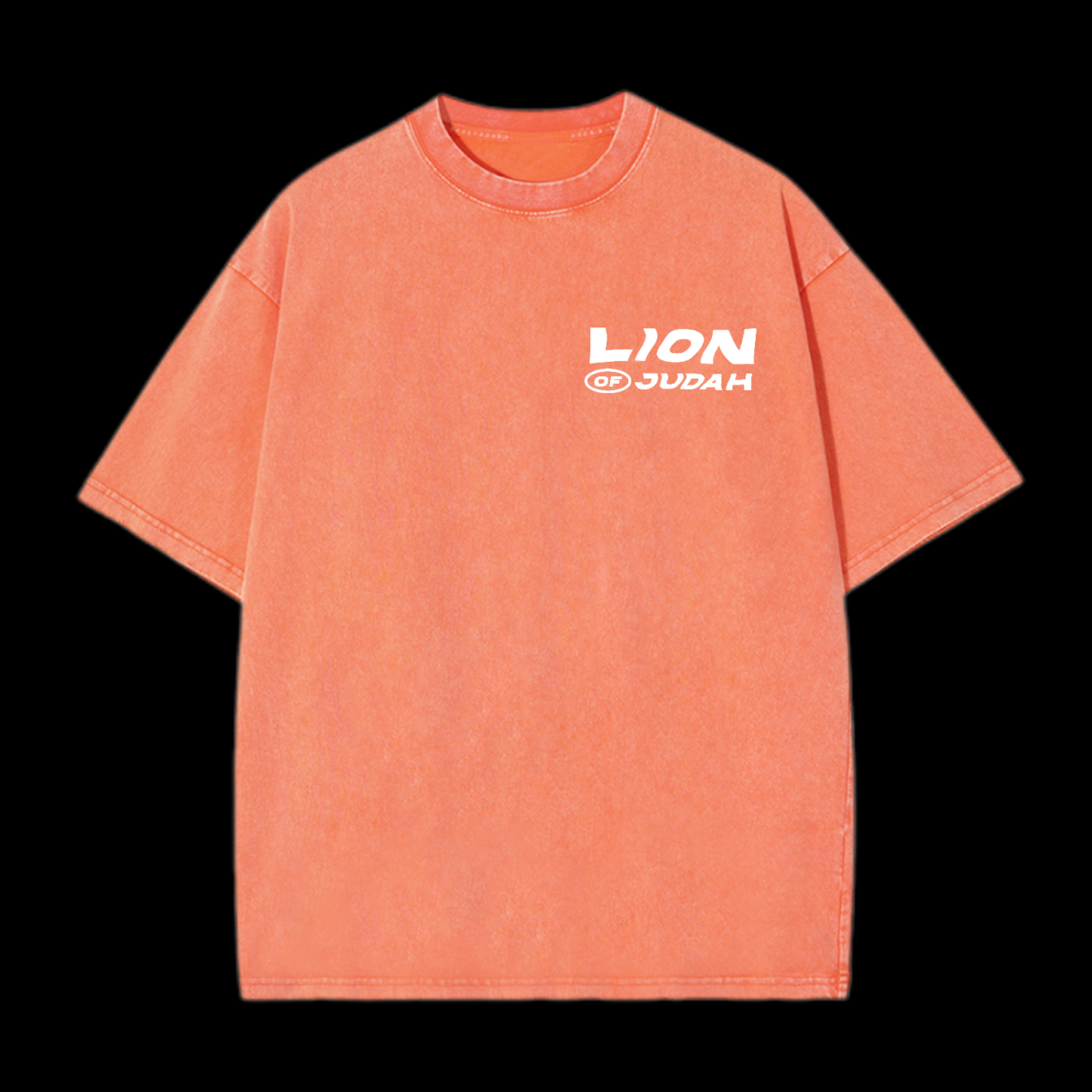 Lion Of Judan Washed T-Shirt