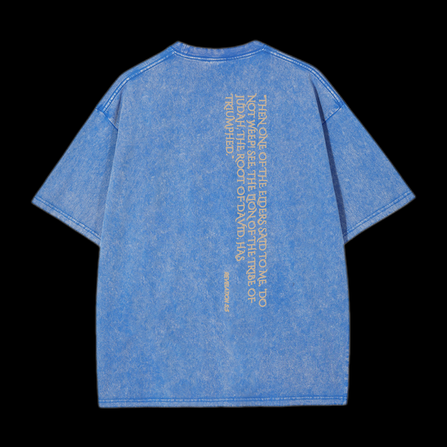Lion Of Judan Washed T-Shirt