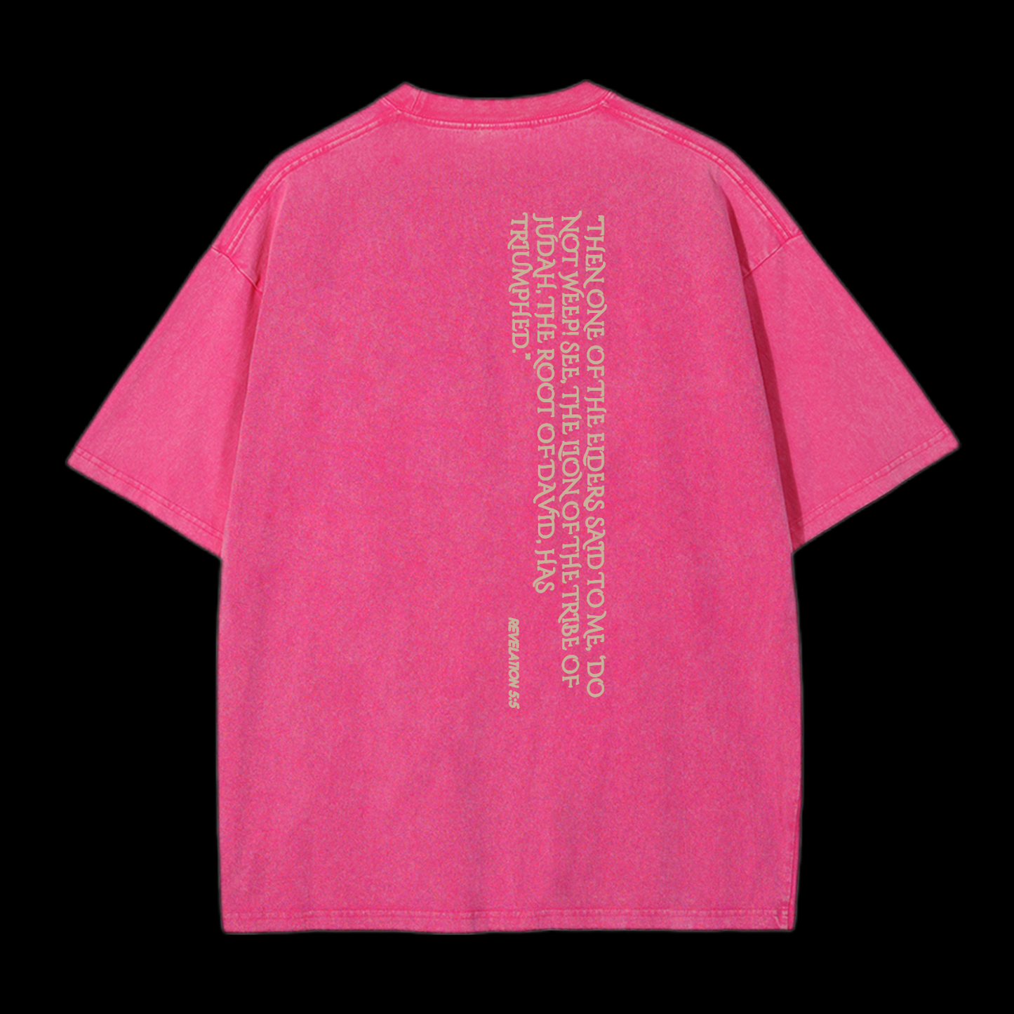 Lion Of Judan Washed T-Shirt