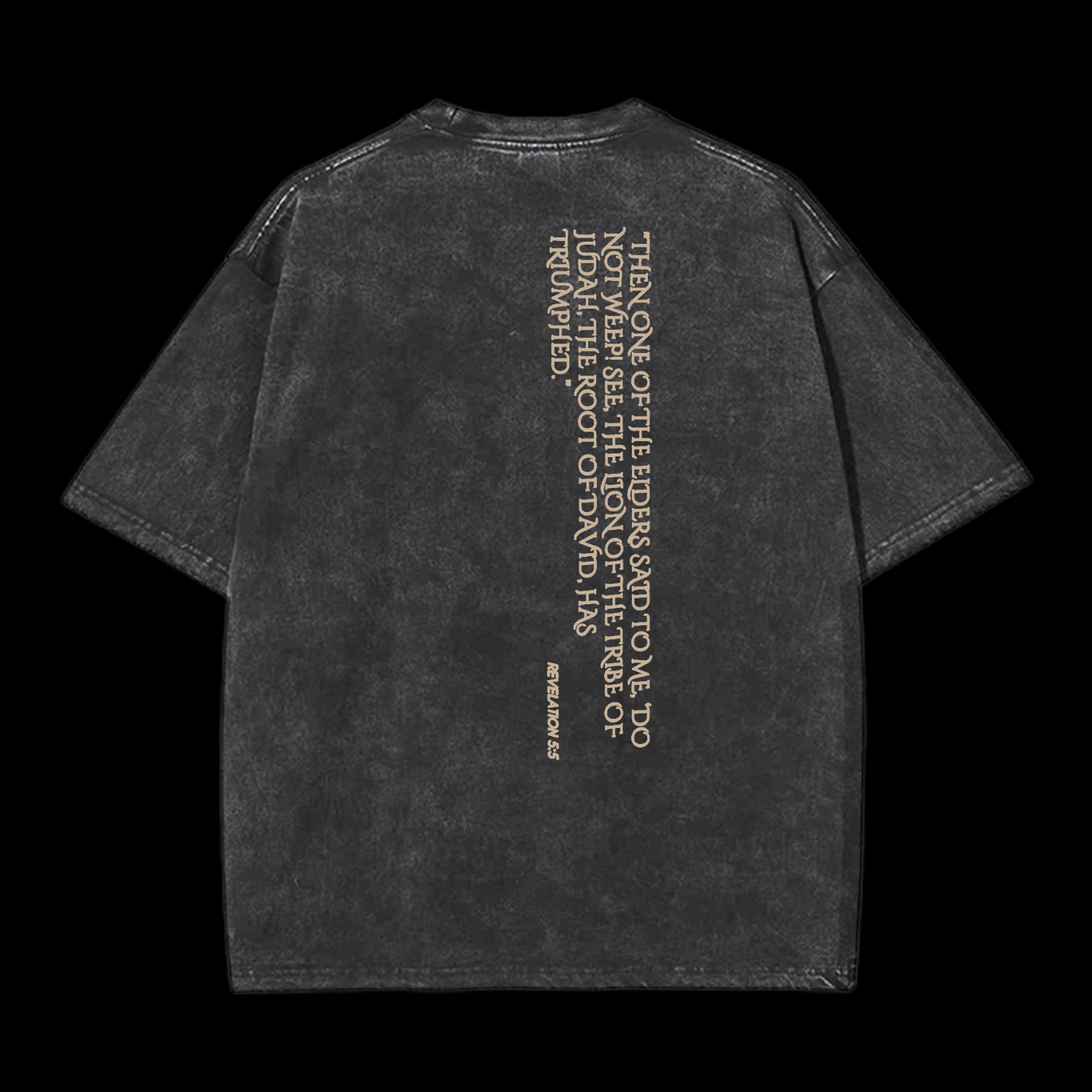 Lion Of Judan Washed T-Shirt