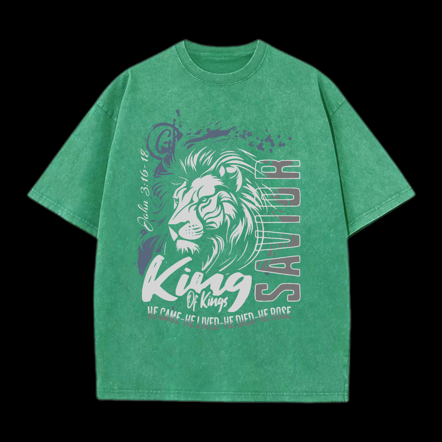 He Came He Lived Washed T-Shirt