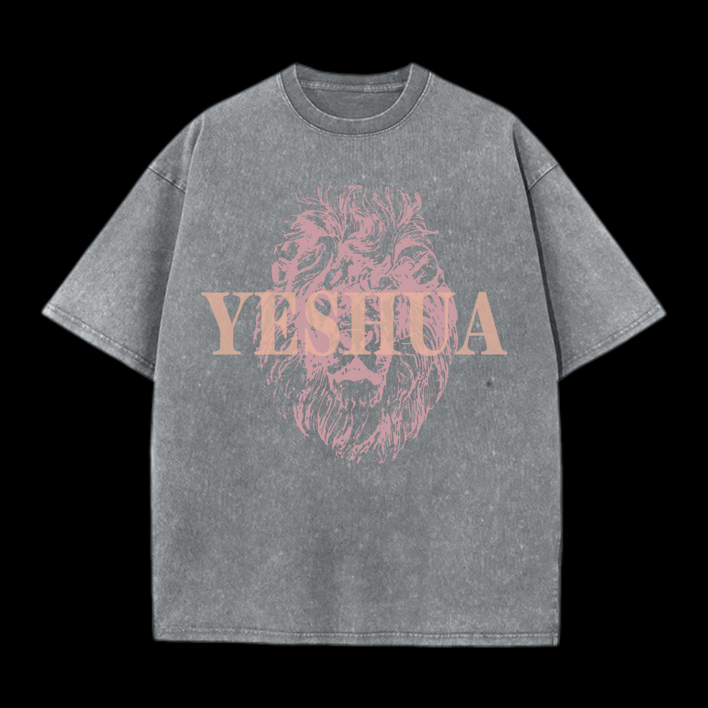 Yeshua Washed T-Shirt