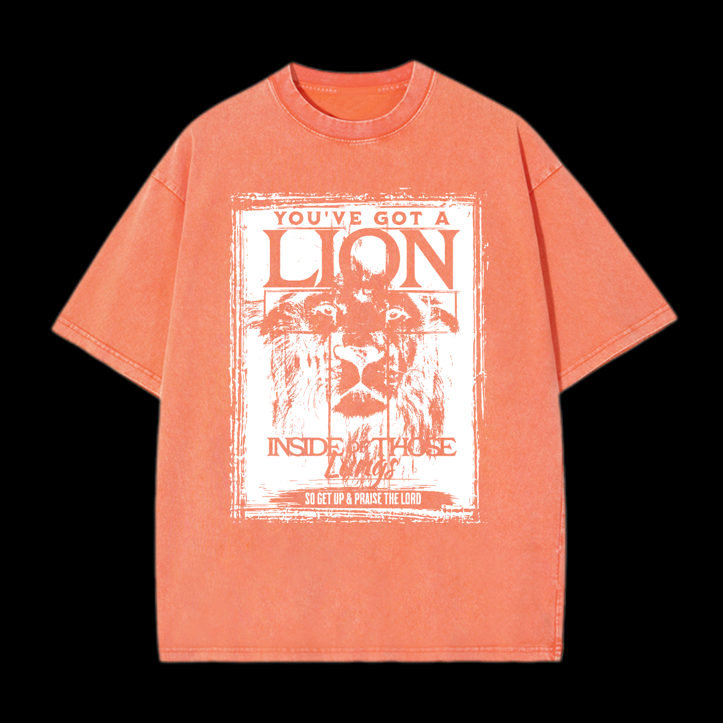You've Got Lion Inside Of Those Lungs Washed T-Shirt