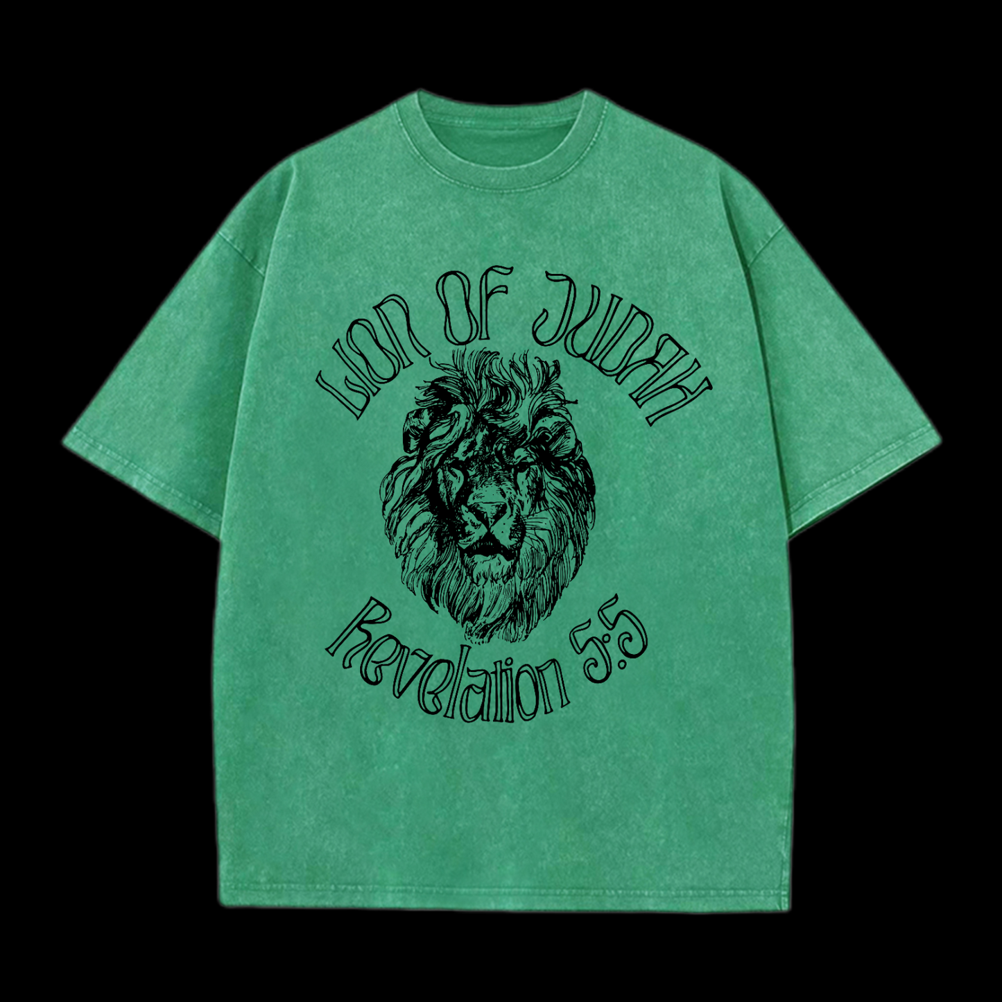 Lion Of Judah Washed T-Shirt