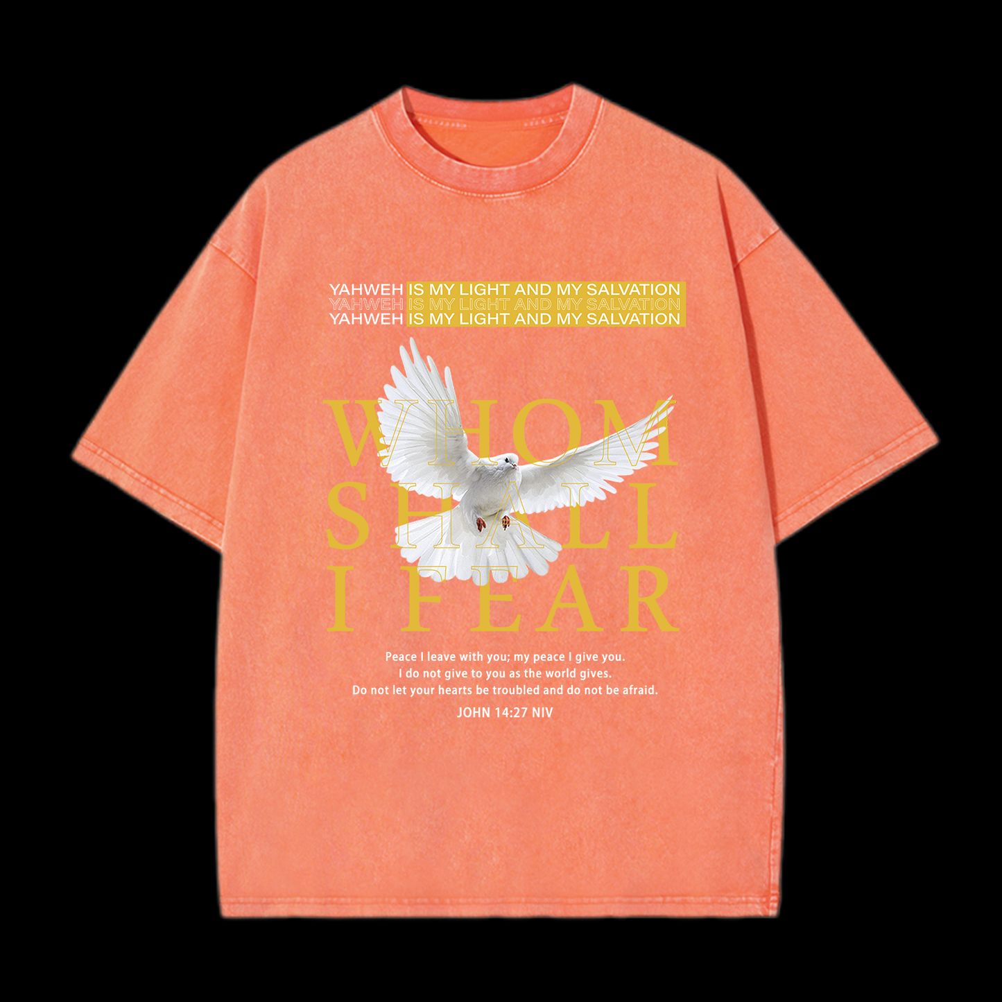 Whom Shall I Fear Washed T-Shirt