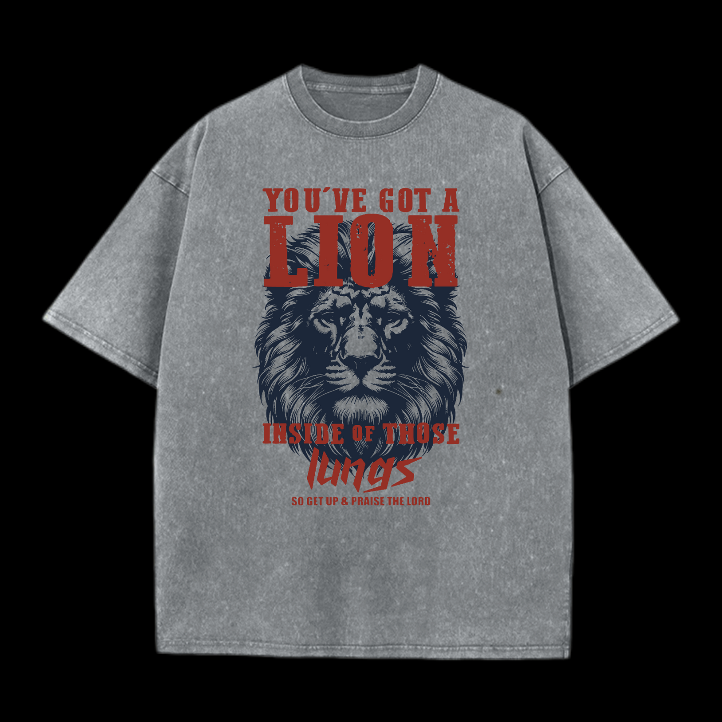 You've Got A Lion Washed T-Shirt