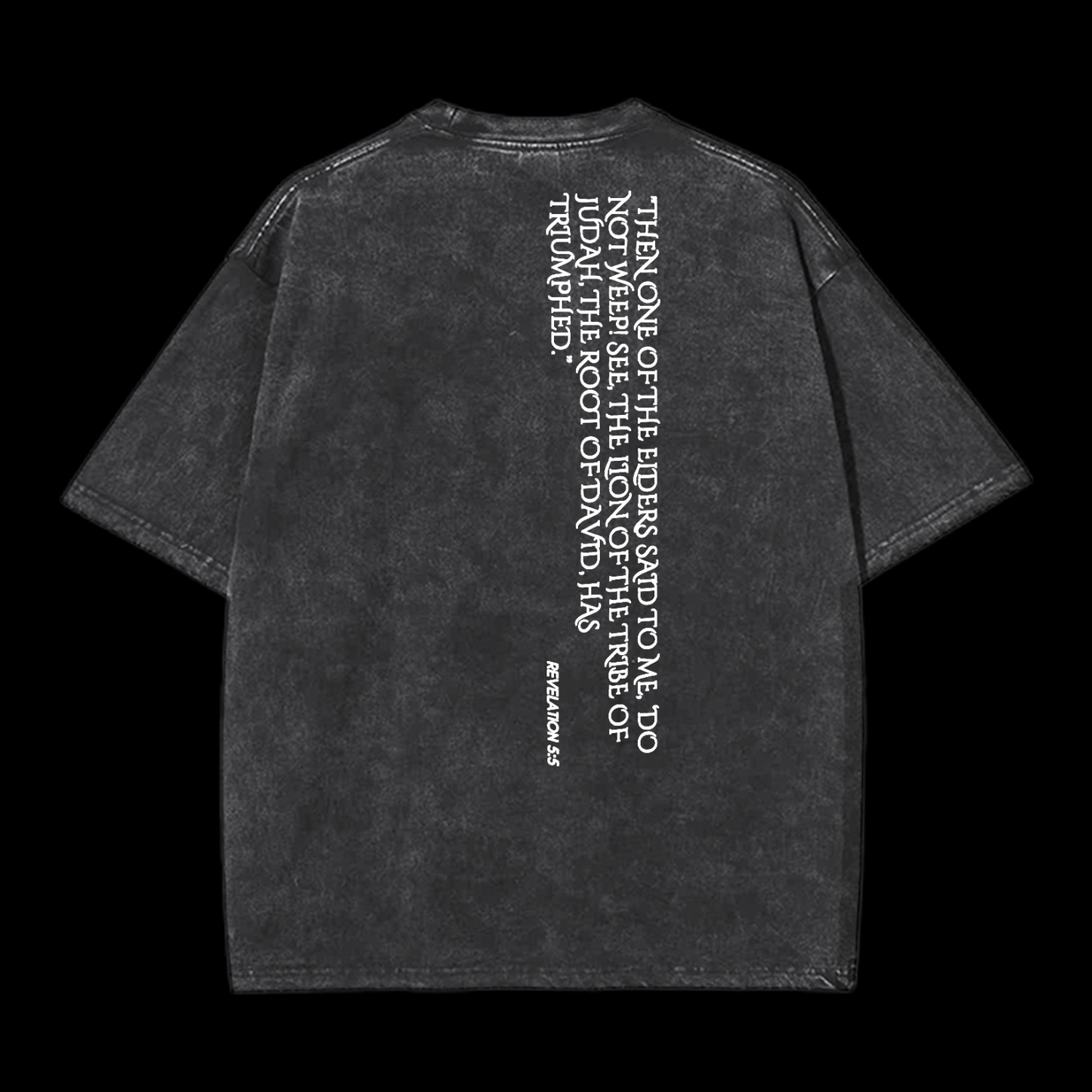 Lion Of Judan Washed T-Shirt