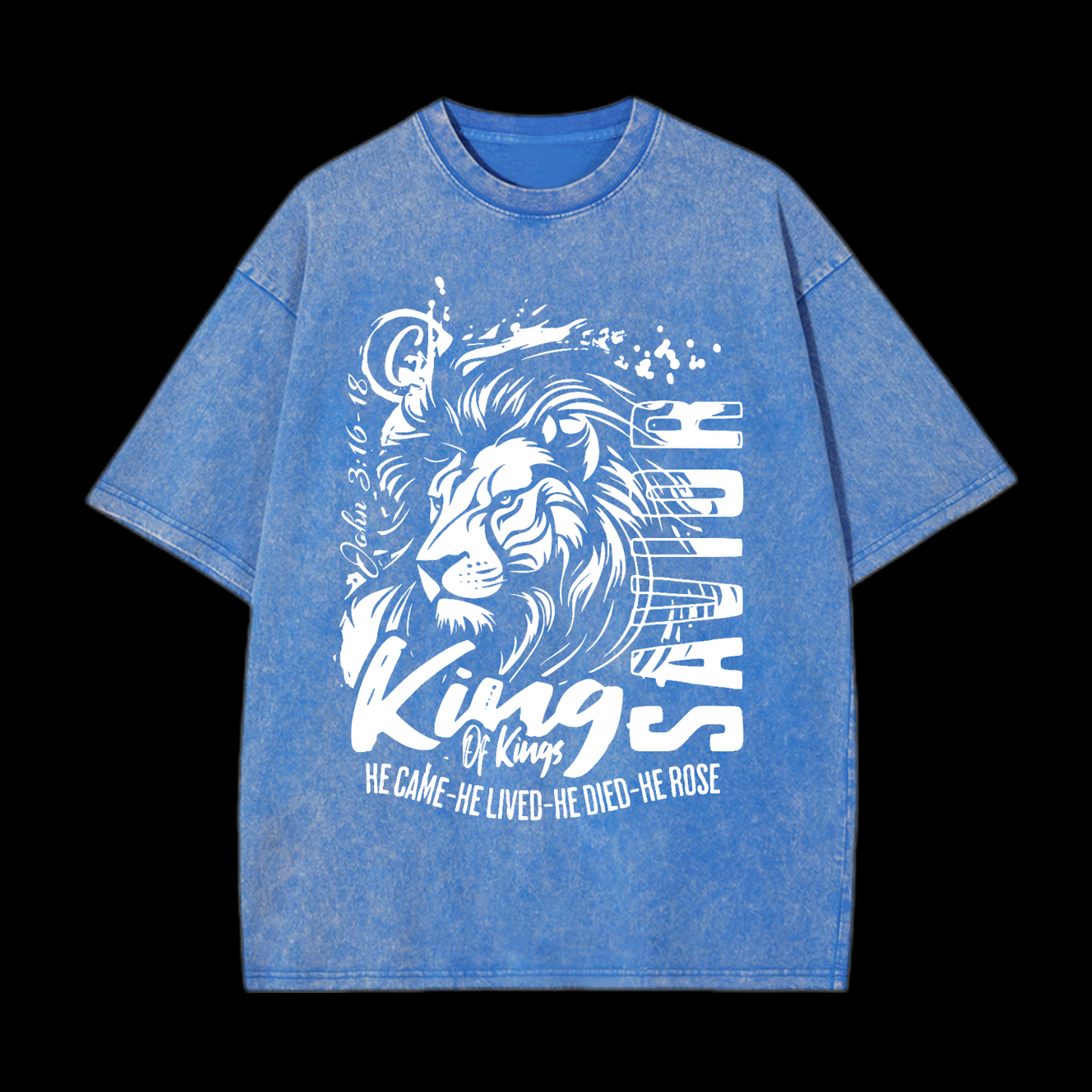 He Came He Lived Washed T-Shirt