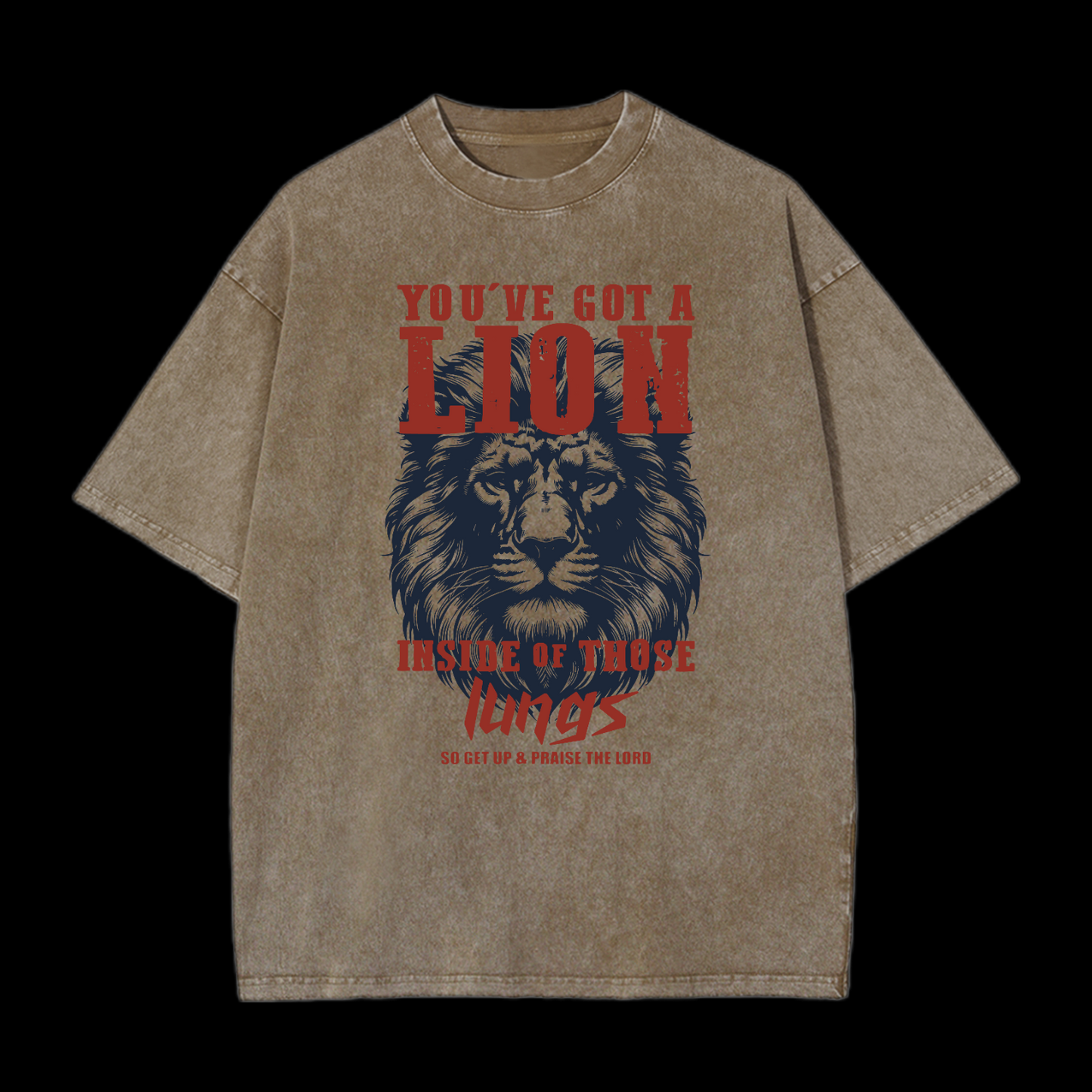 You've Got A Lion Washed T-Shirt