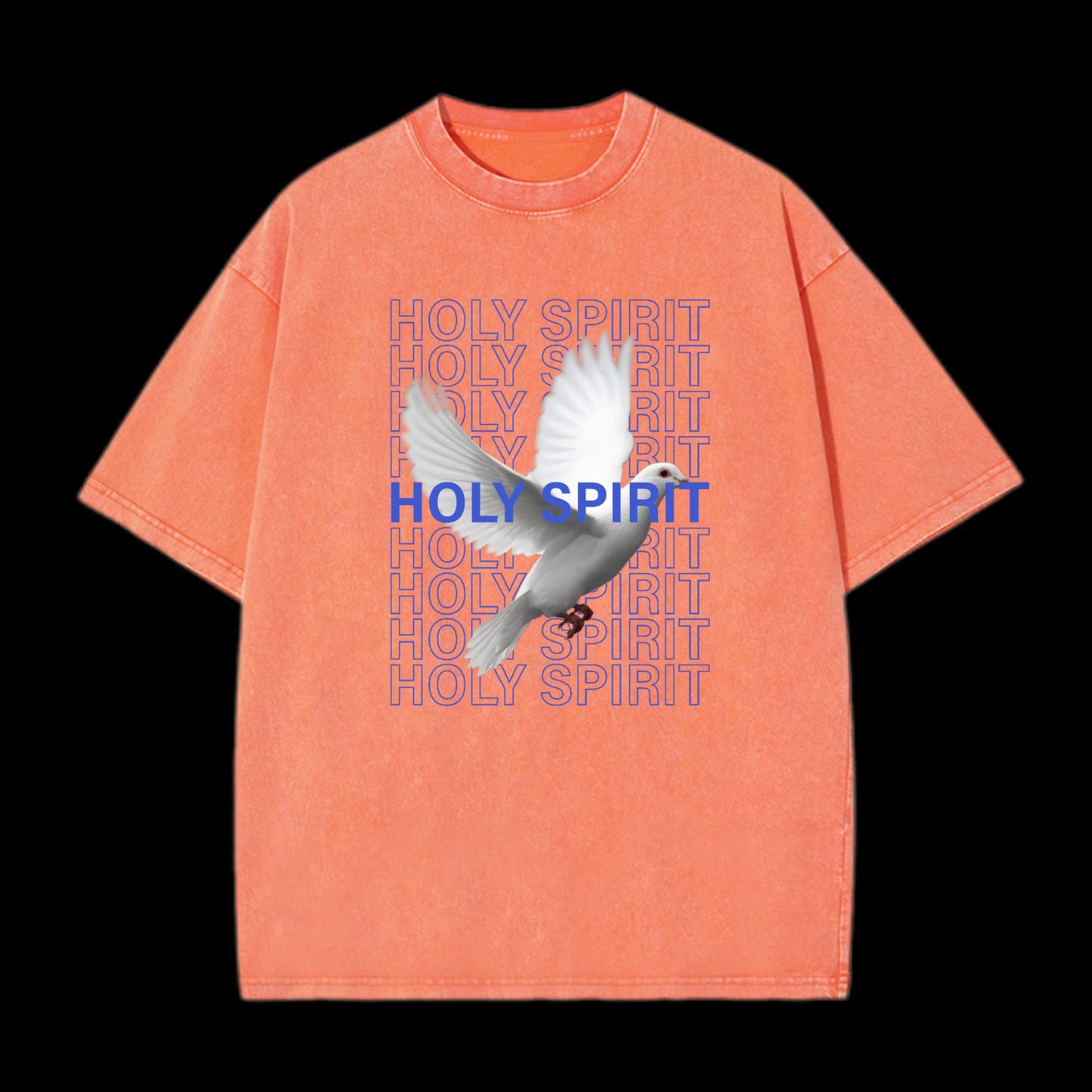 Holy Spirit Washed T-Shirt