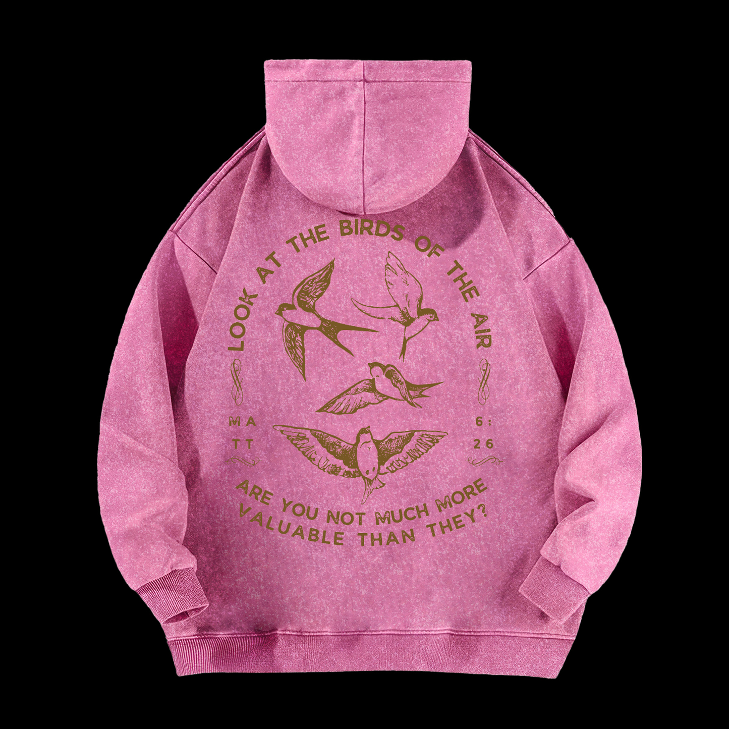 Look At The Birds Of The Air Washed Hoodie