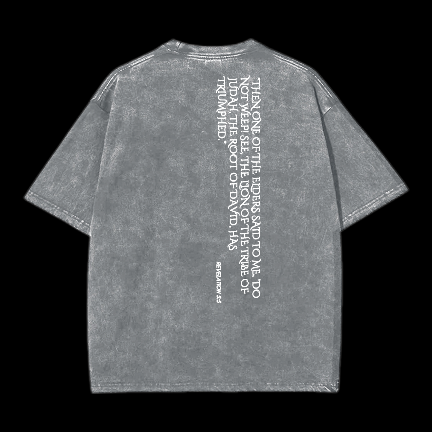 Lion Of Judan Washed T-Shirt