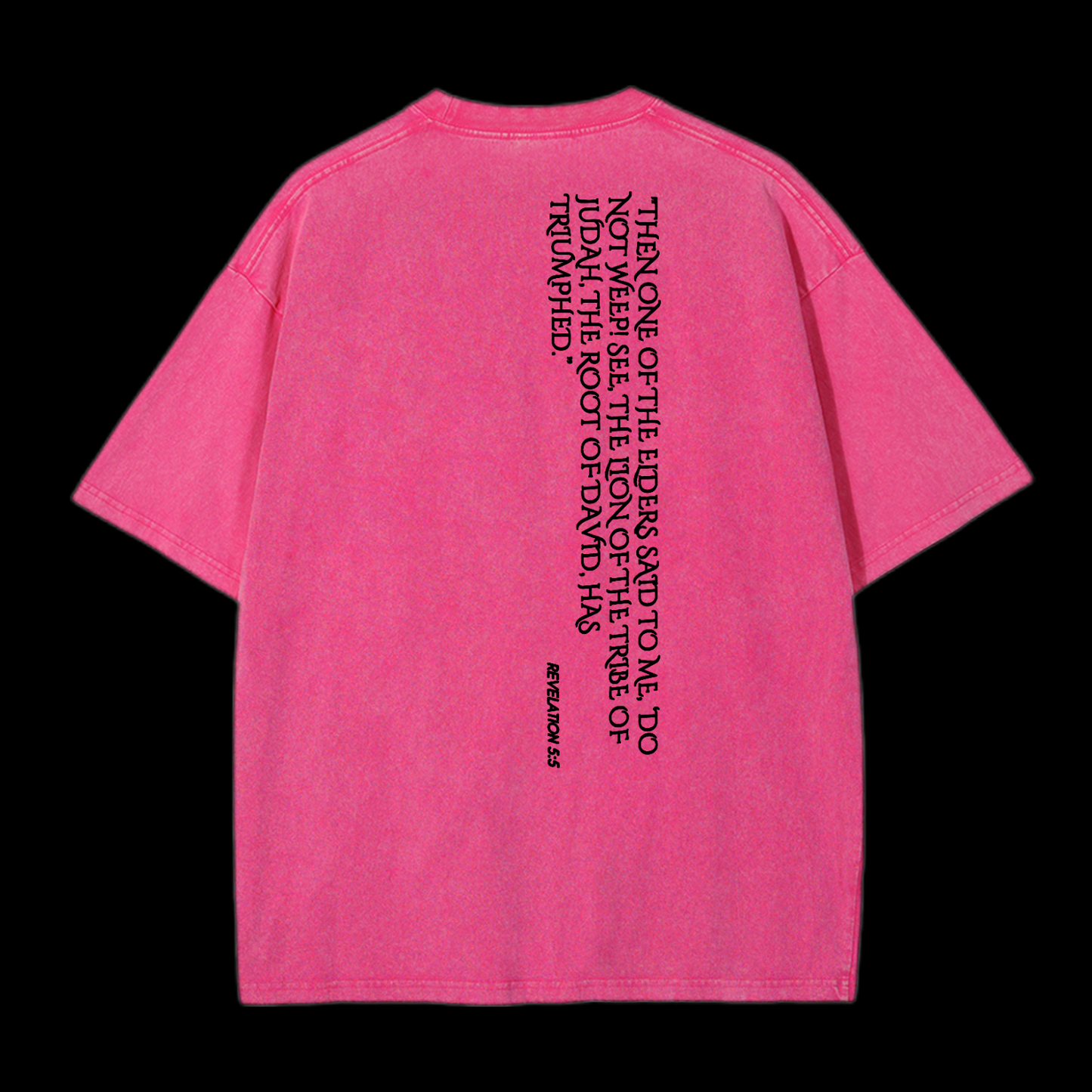 Lion Of Judan Washed T-Shirt