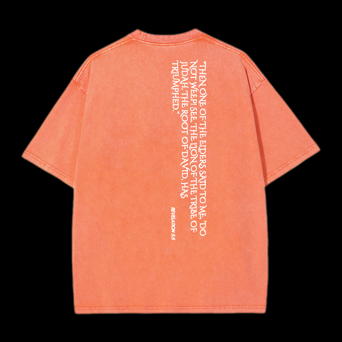 Lion Of Judan Washed T-Shirt