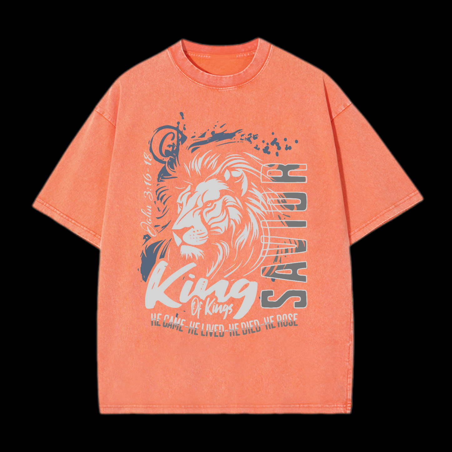 He Came He Lived Washed T-Shirt