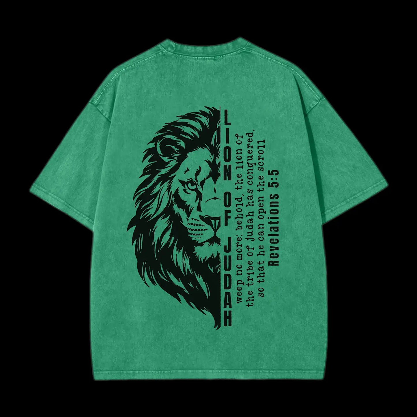 Lion Of Judah Washed T-Shirt