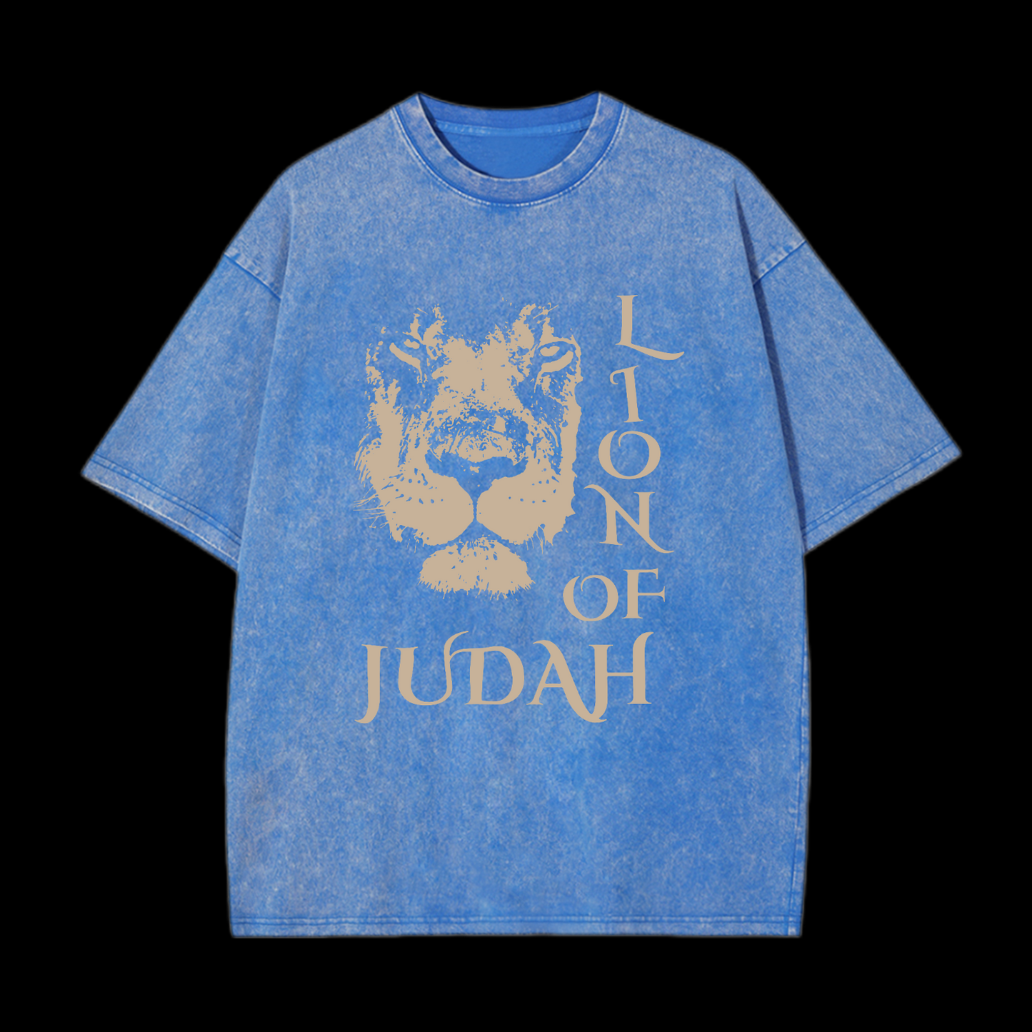 Lion Of Judan Washed T-Shirt