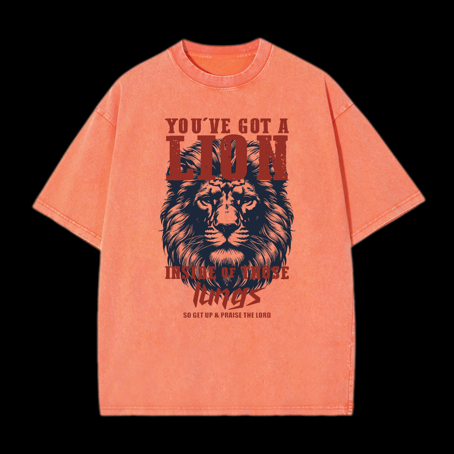 You've Got A Lion Washed T-Shirt