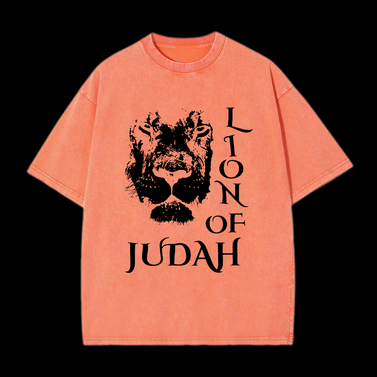 Lion Of Judan Washed T-Shirt